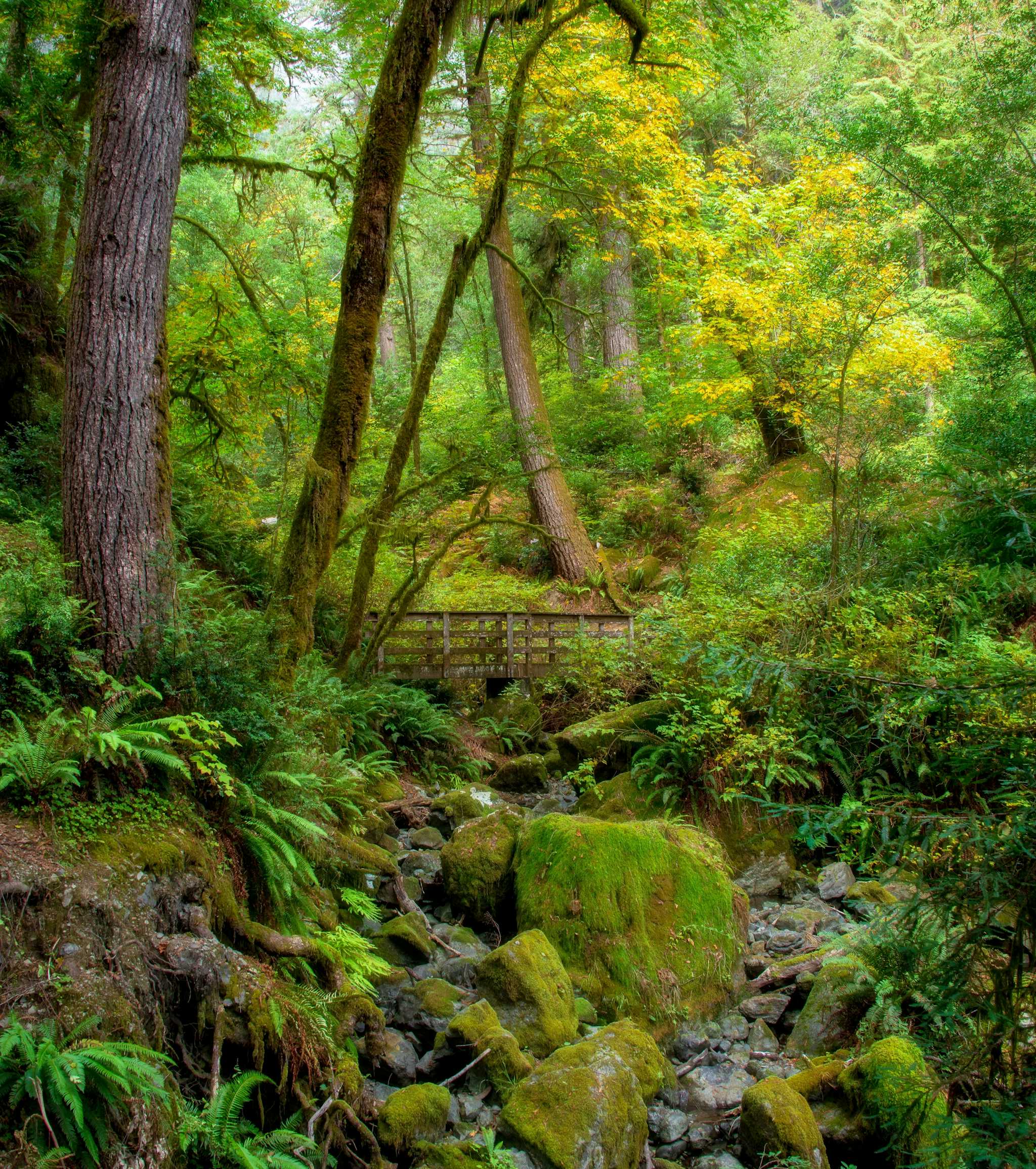 Alfred A. Loeb State Park