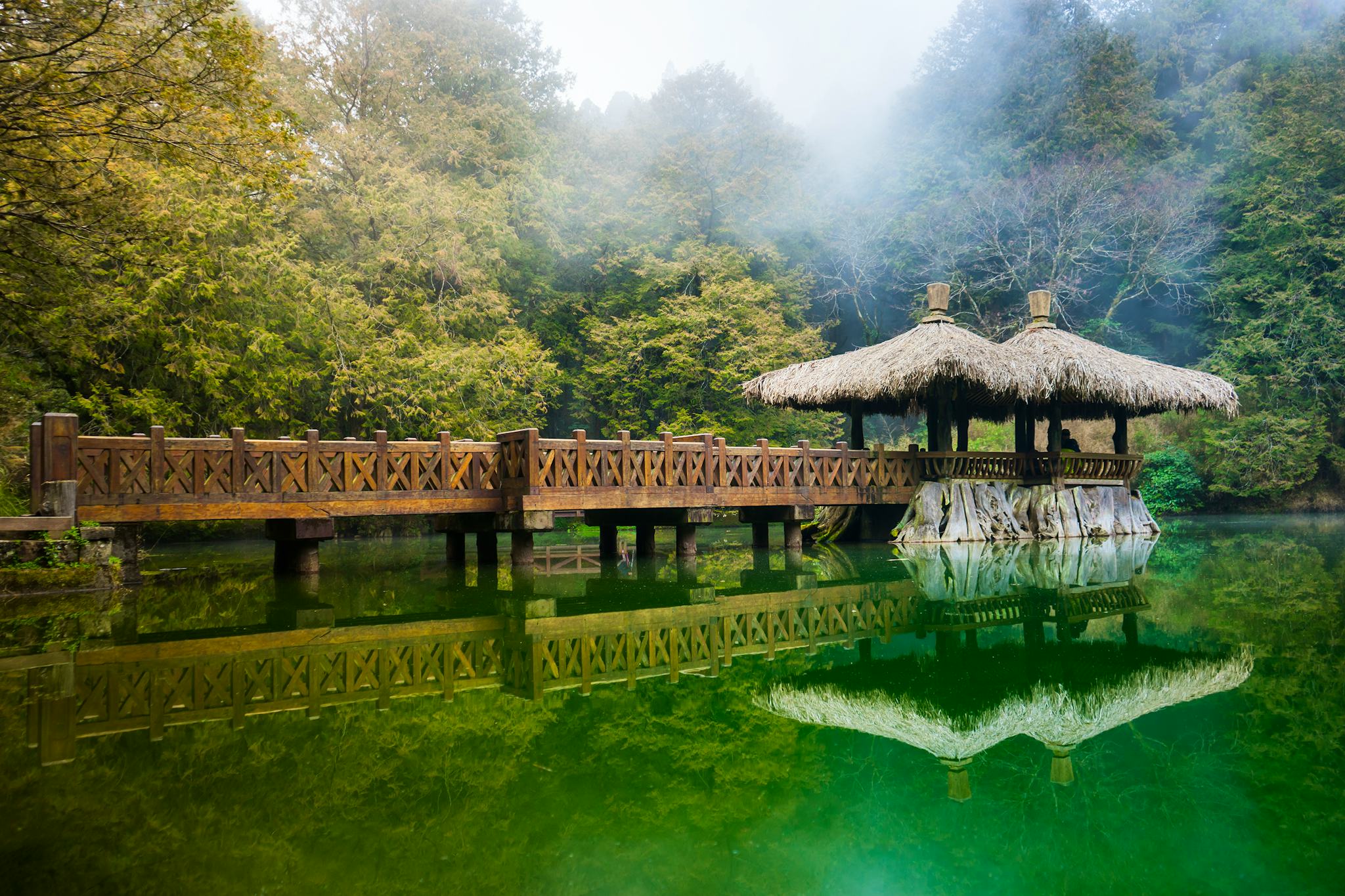 阿里山国家风景区