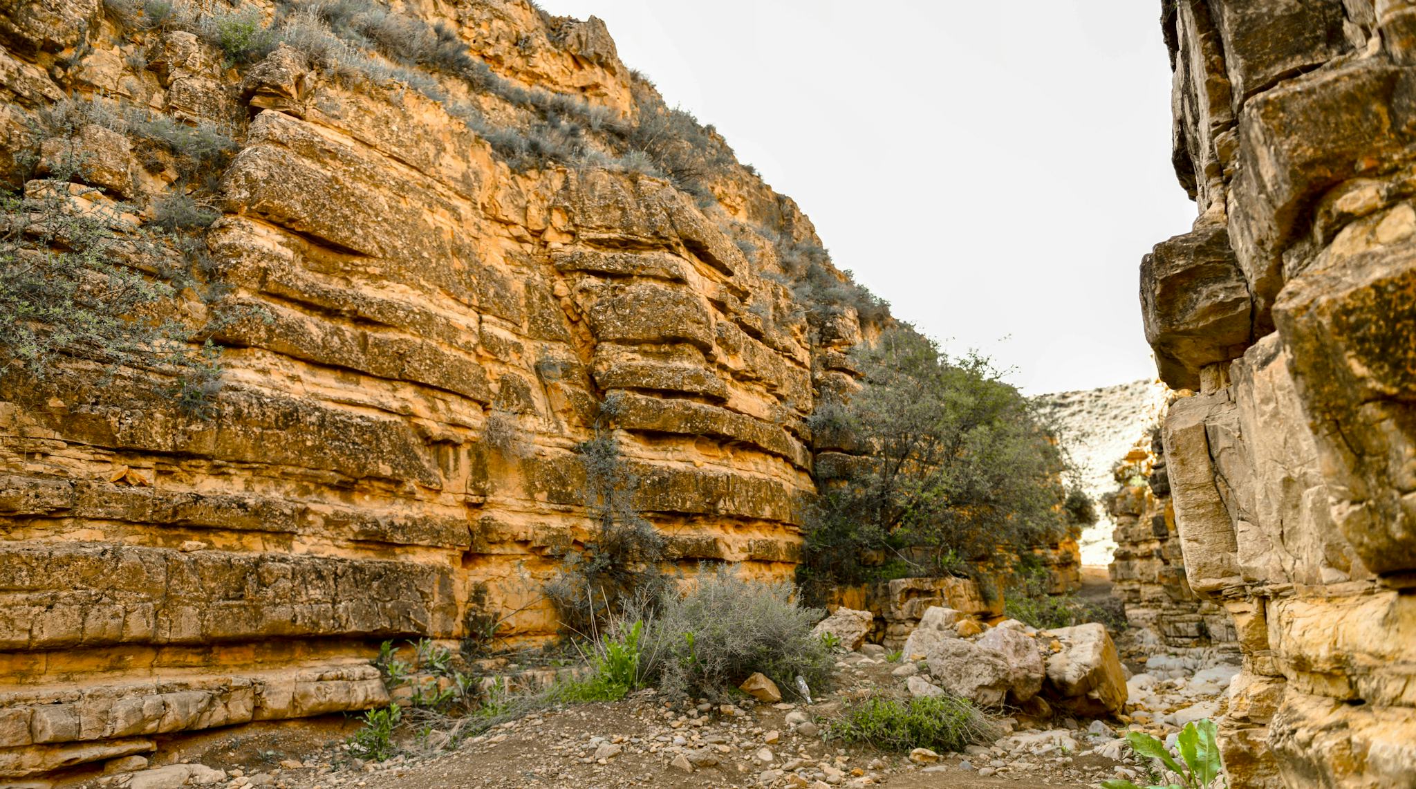 Cañón de los Ángeles