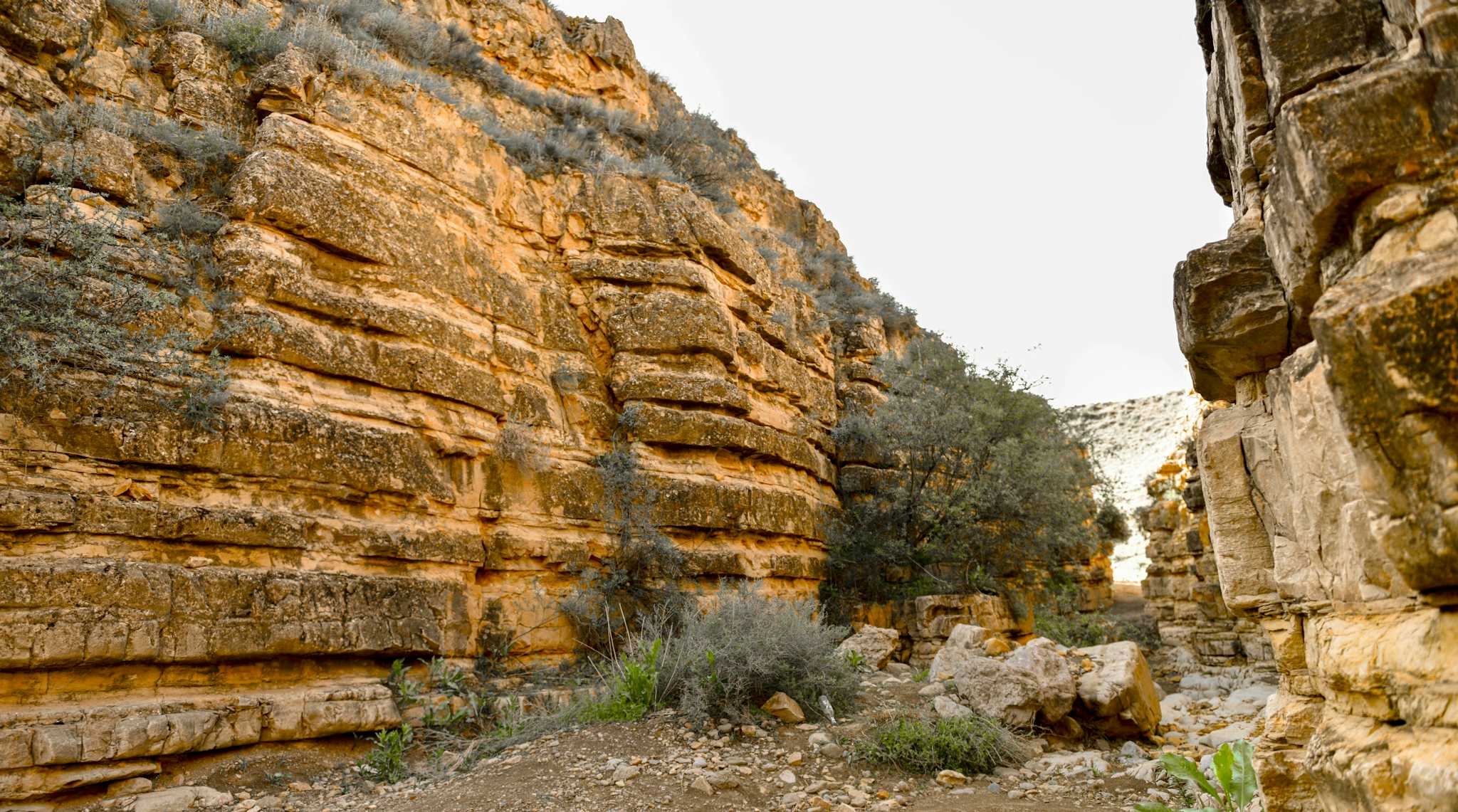 Cañón de los Ángeles