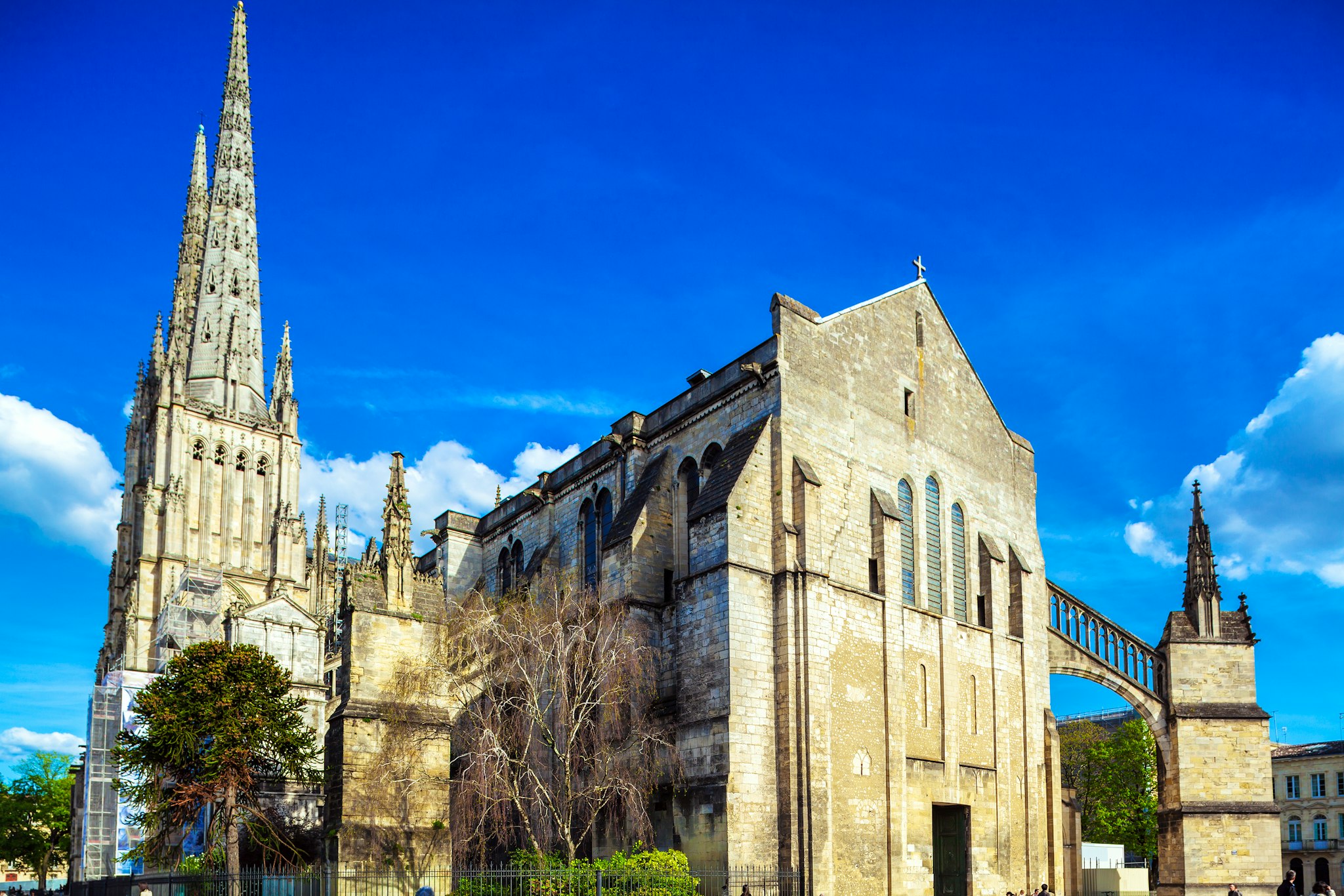 Bordeaux to Bazas: Private day trip