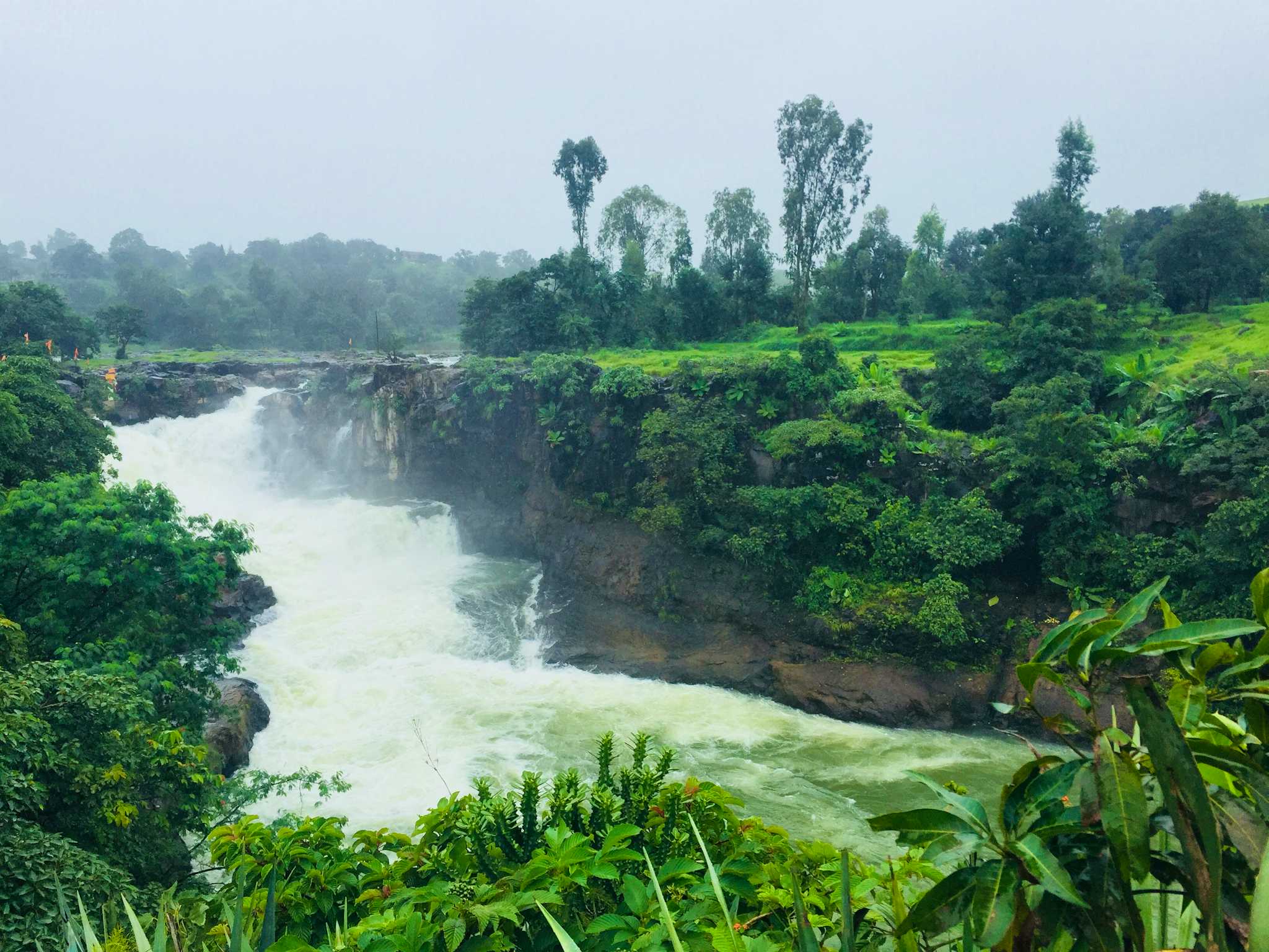 Bhandardara