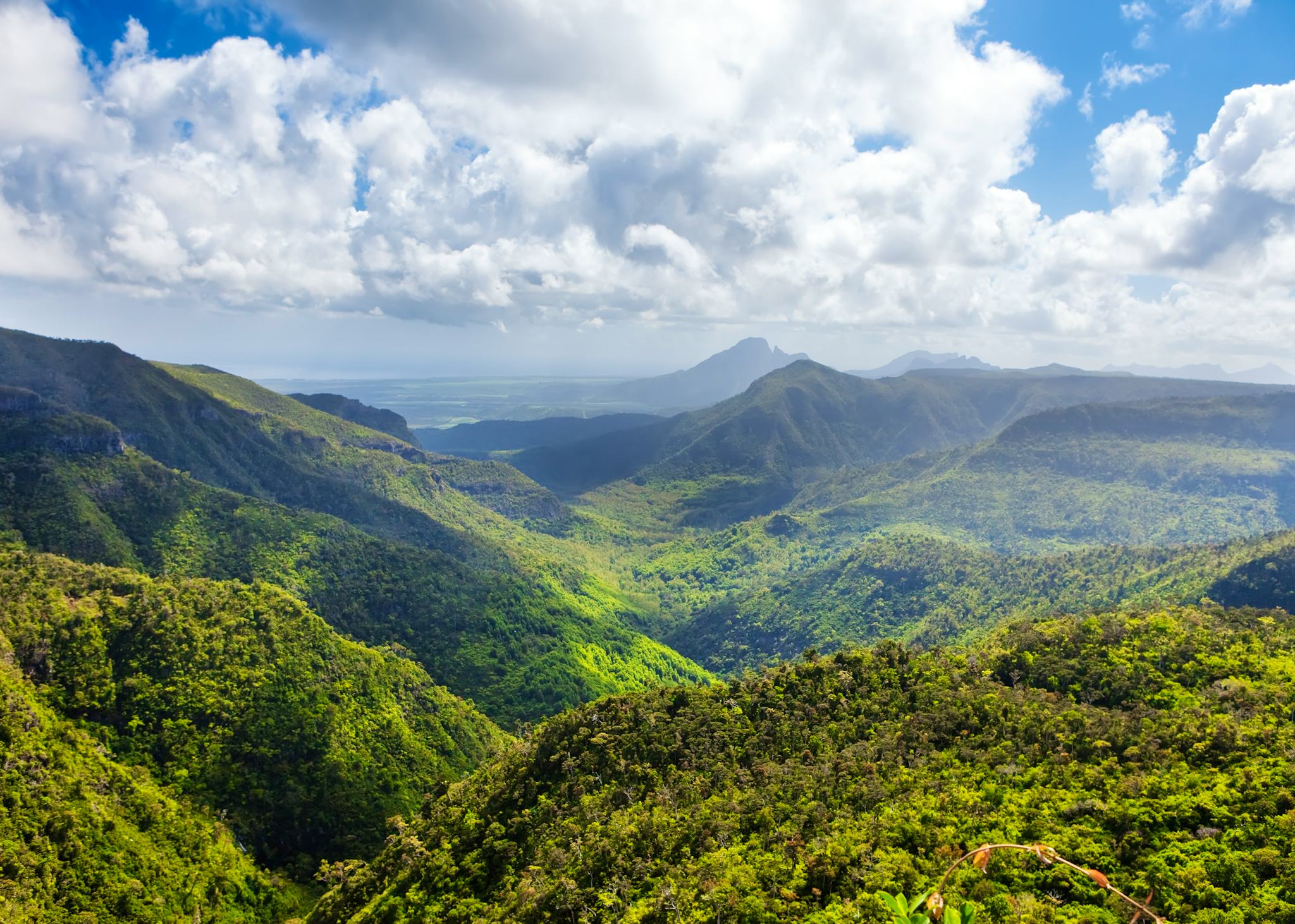 Black River Gorges Viewpoint