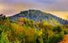 Discover location header image