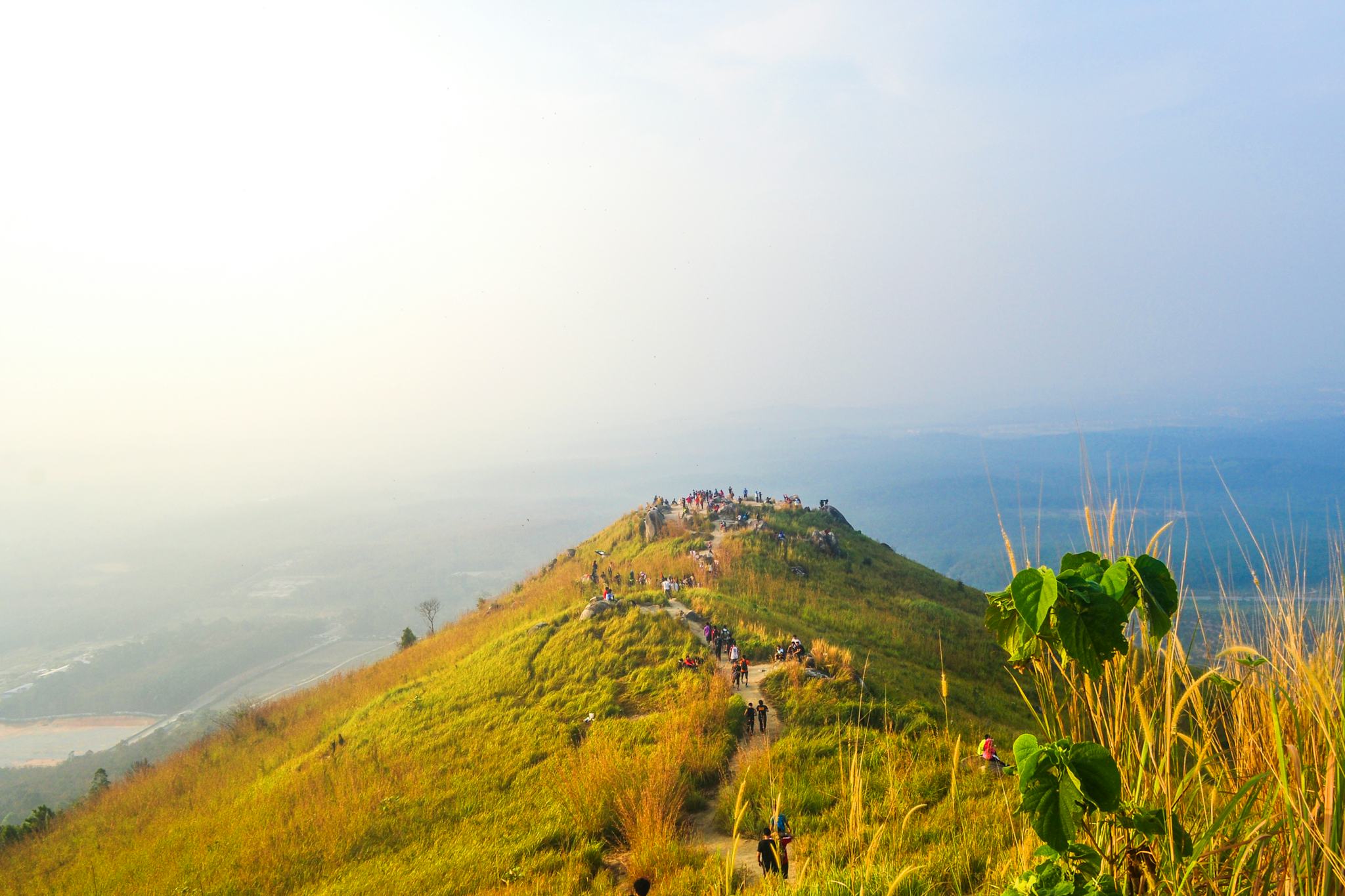 Bukit Broga Hill