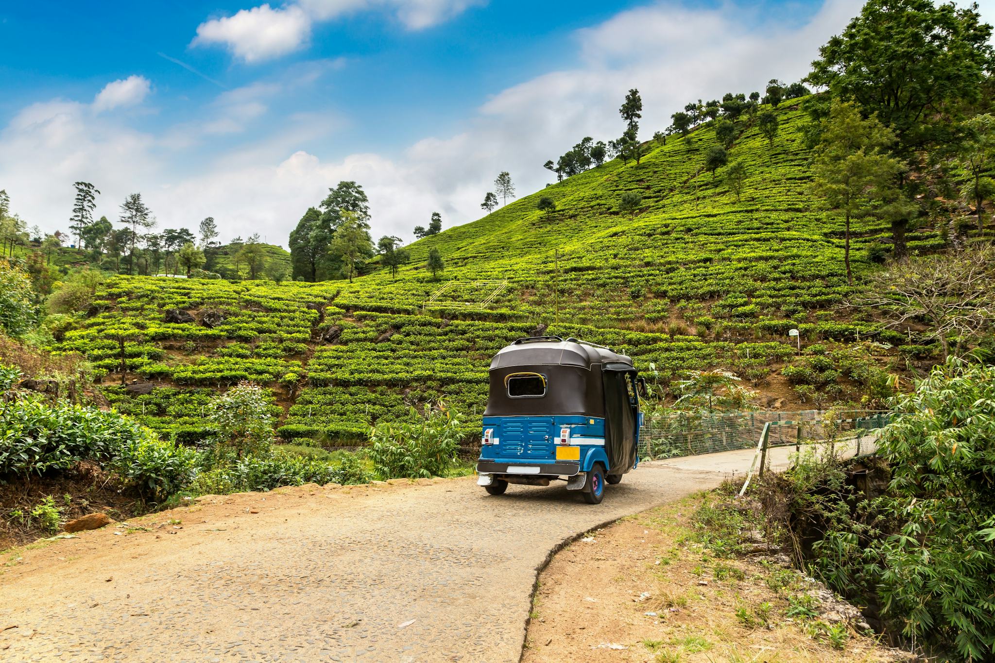 Cameron Highlands