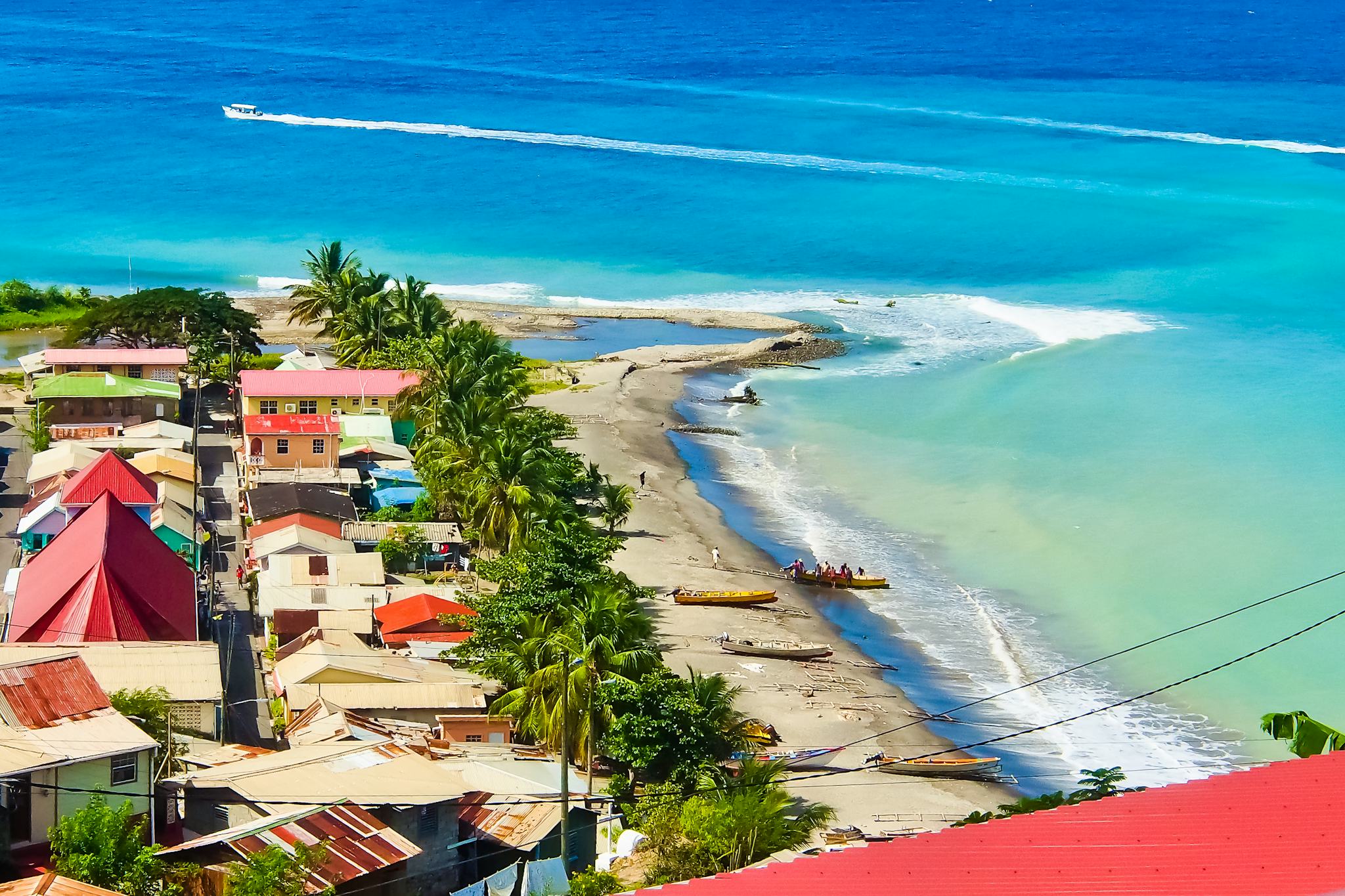 Canaries, St. Lucia