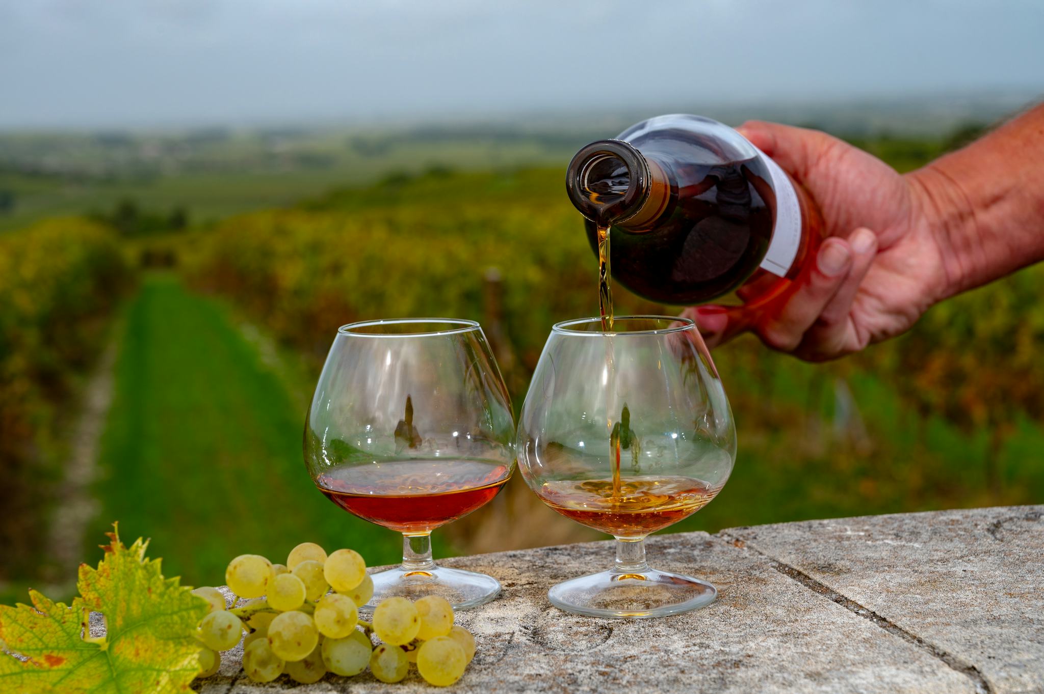 Cognac