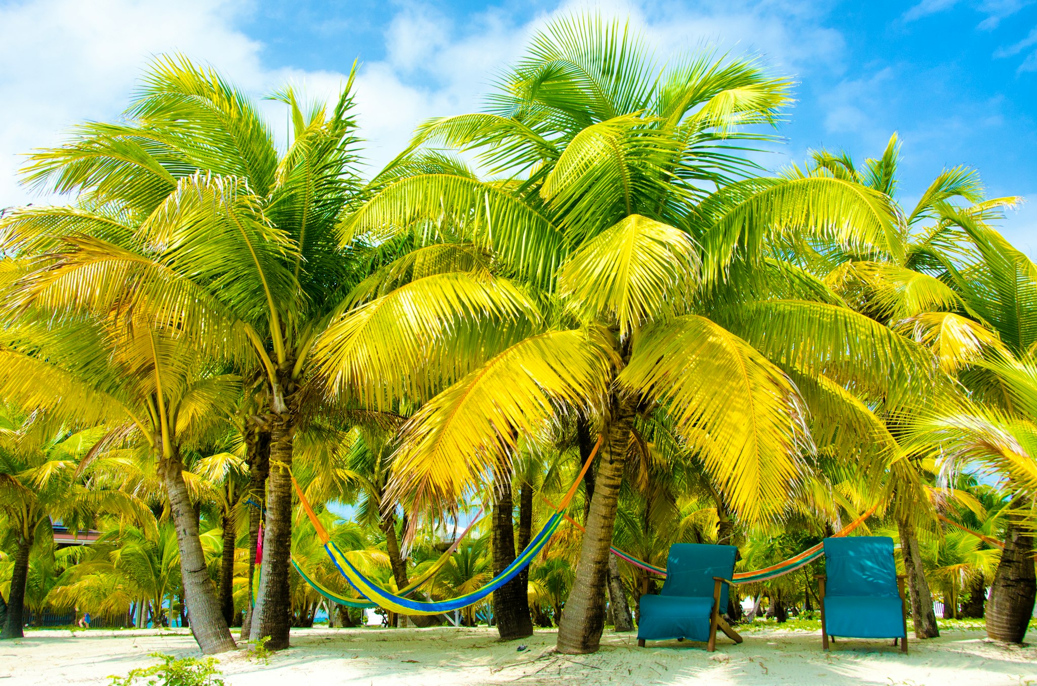 Belize City to Dangriga: Private day trip