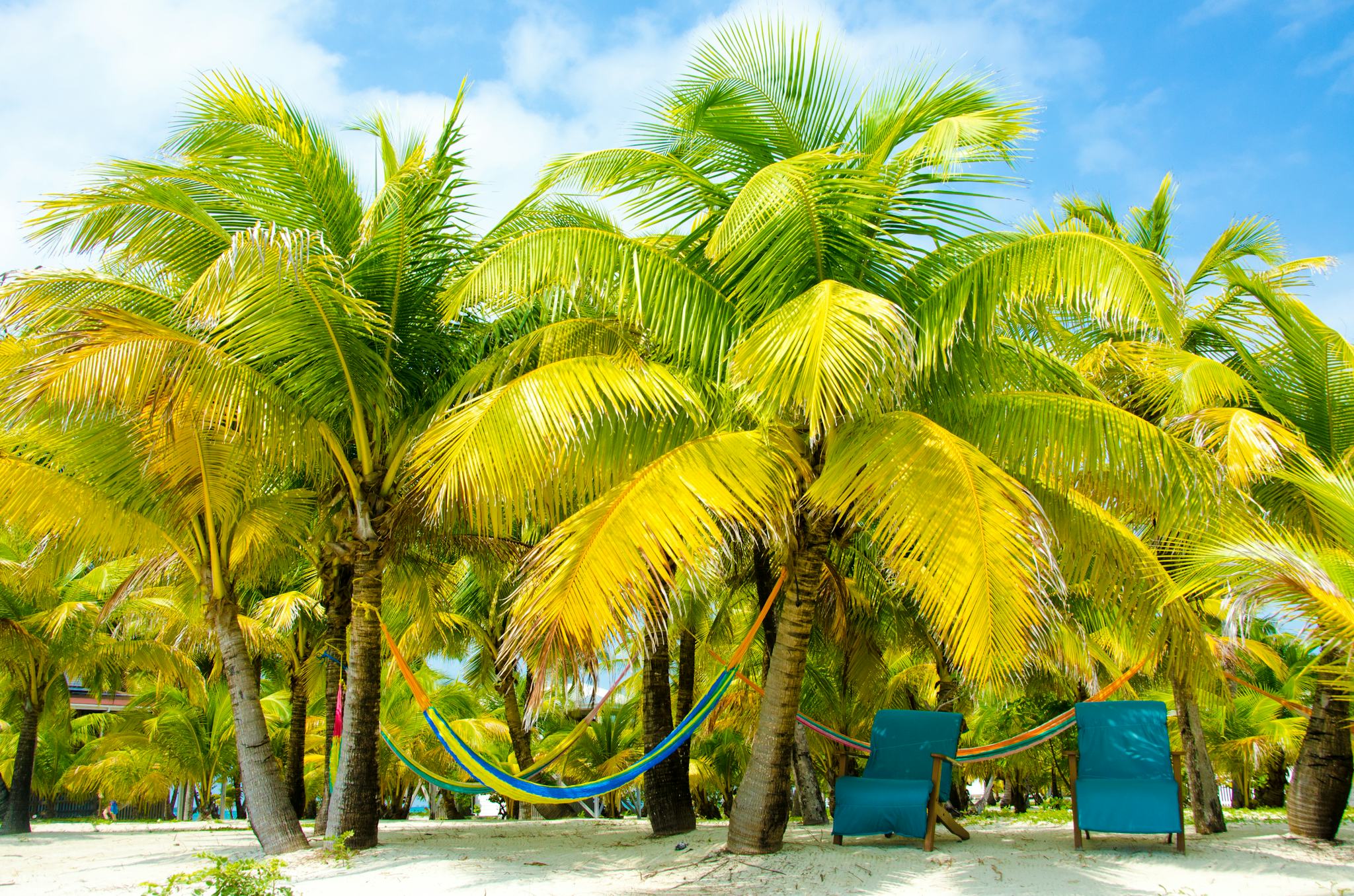 Belize City to Dangriga: Private day trip hero image