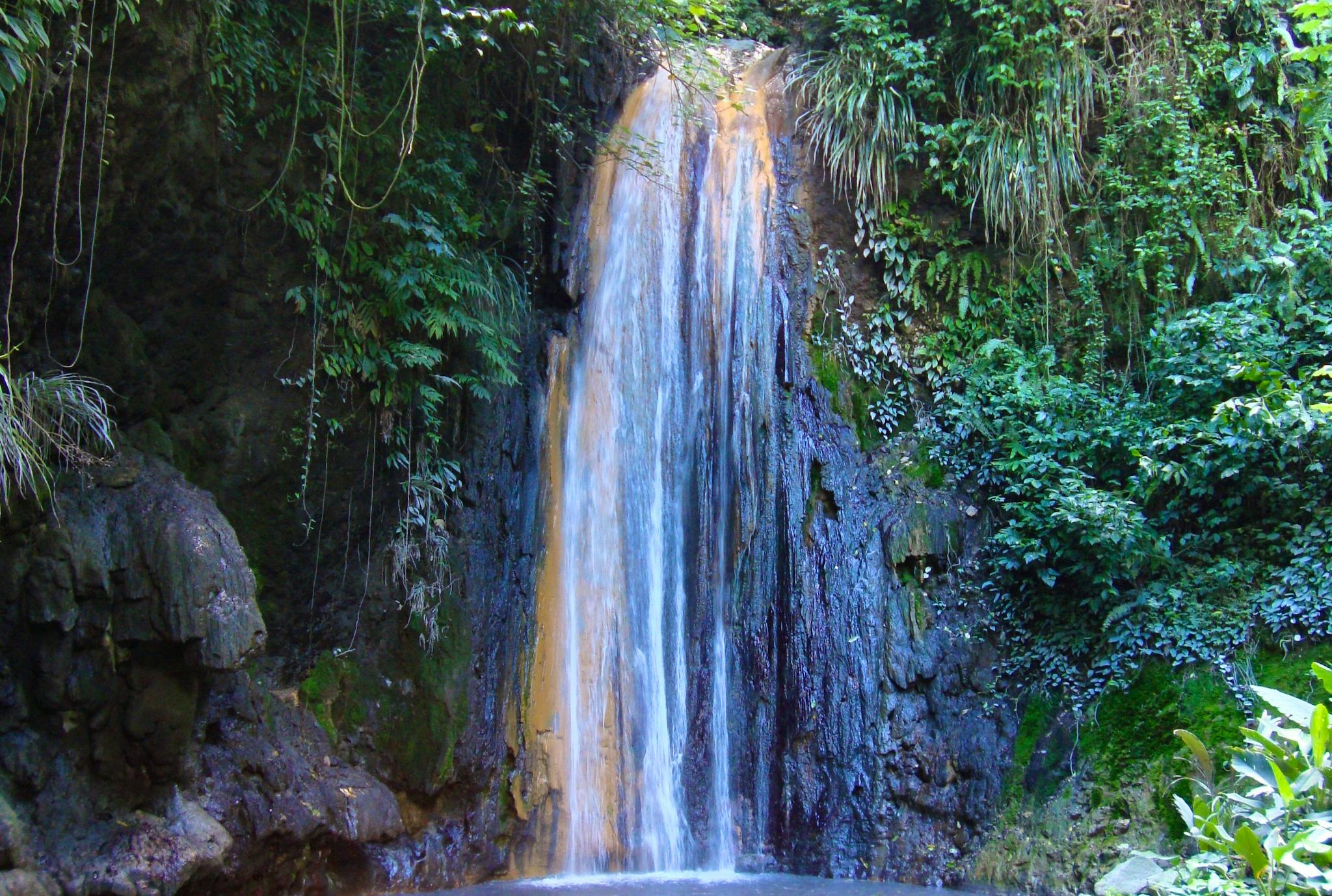 Jardins Botânicos e Banhos Minerais Diamond Falls