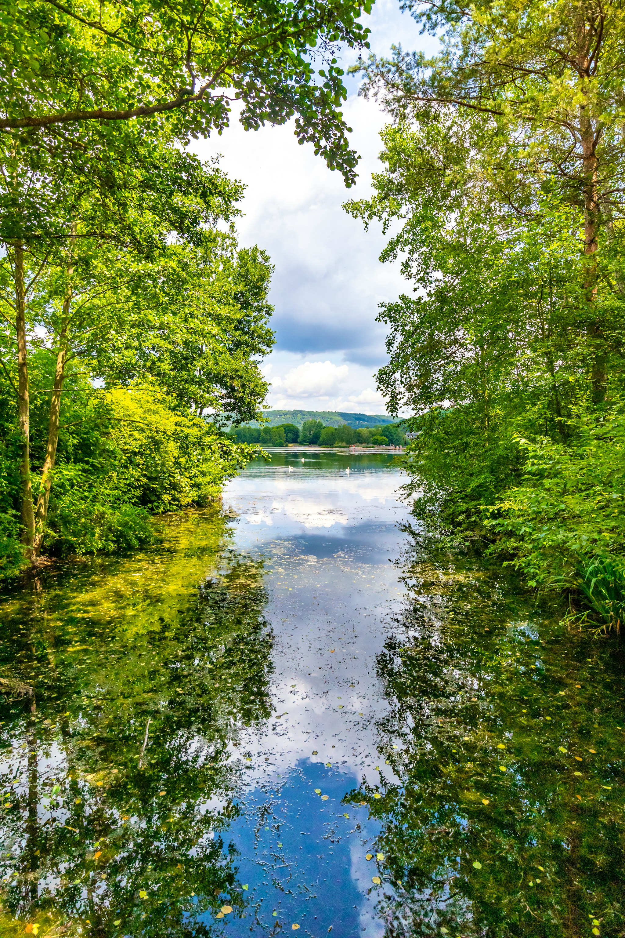 Luxembourg City to Vianden castle and Echternach: Day trip