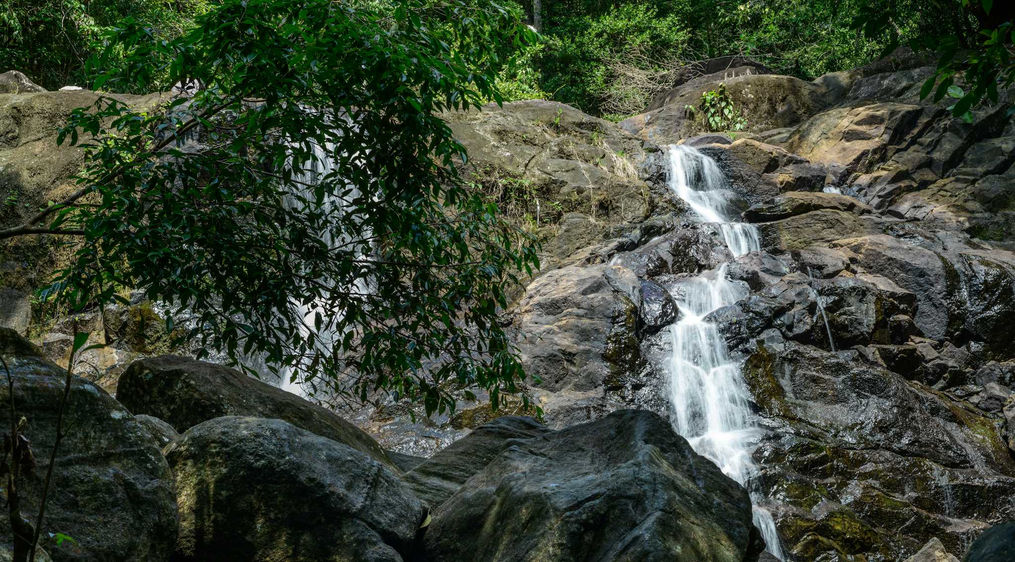 Cascade Elpitiya