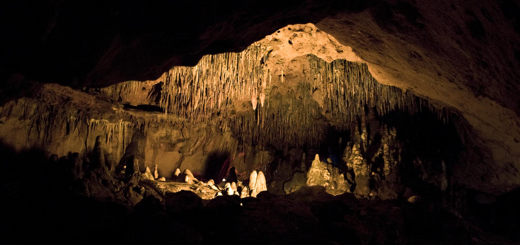 Florida Caverns Staatspark