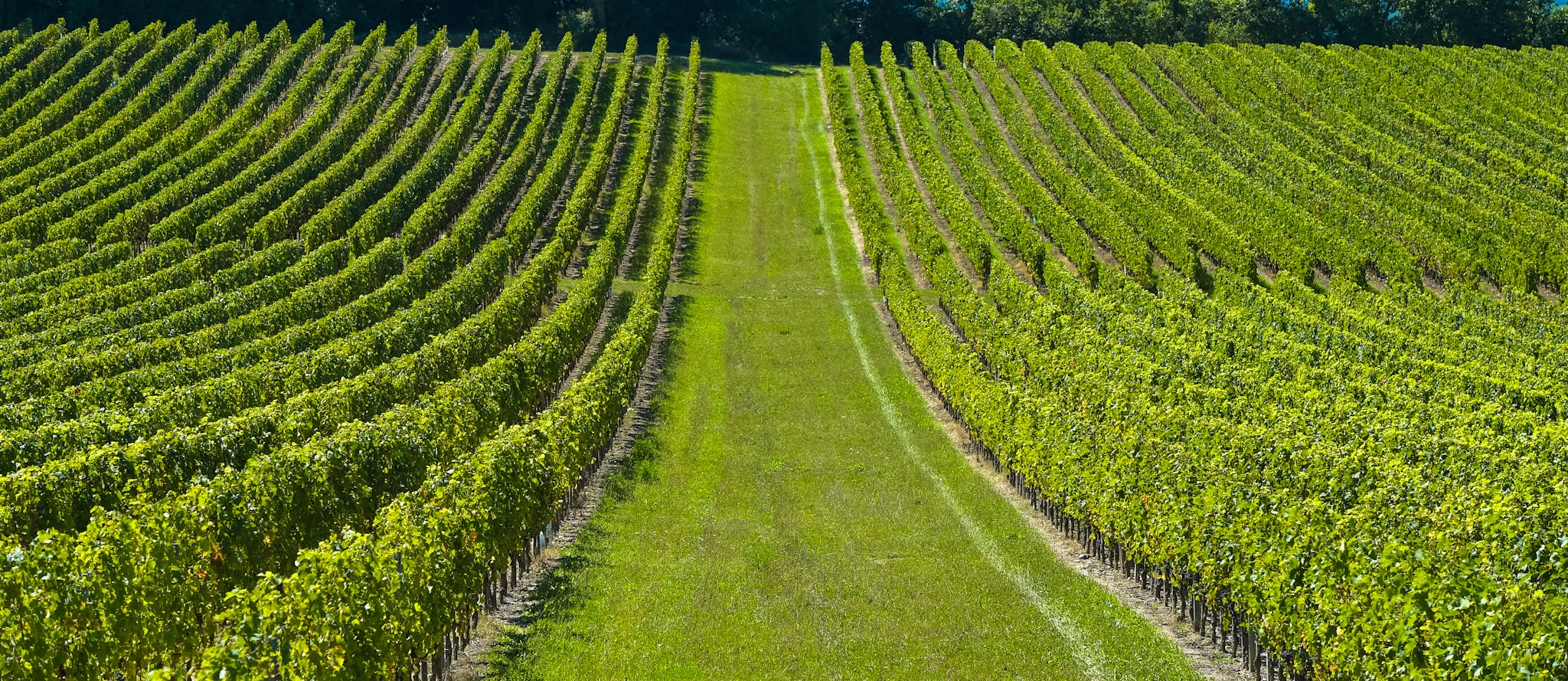 Fronsac