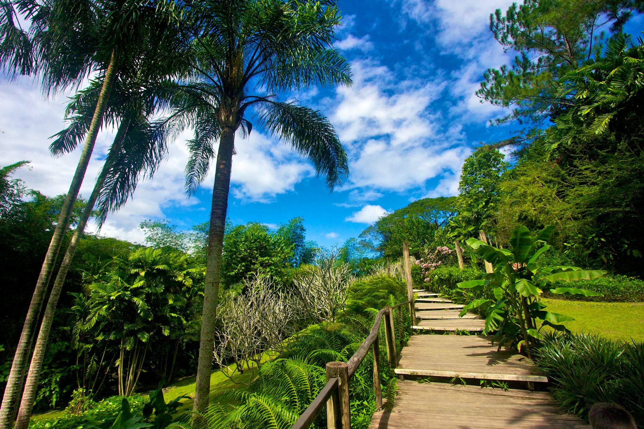 Garden of the Sleeping Giant