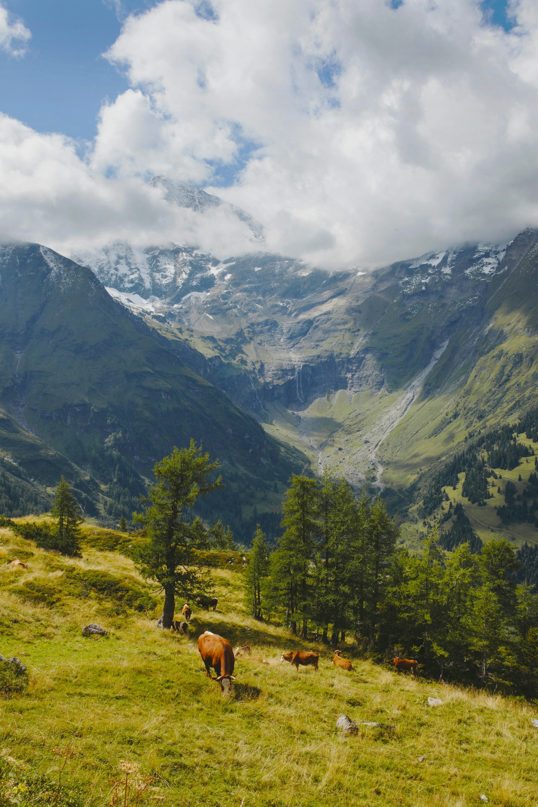 Grossglockner High Alpine Road