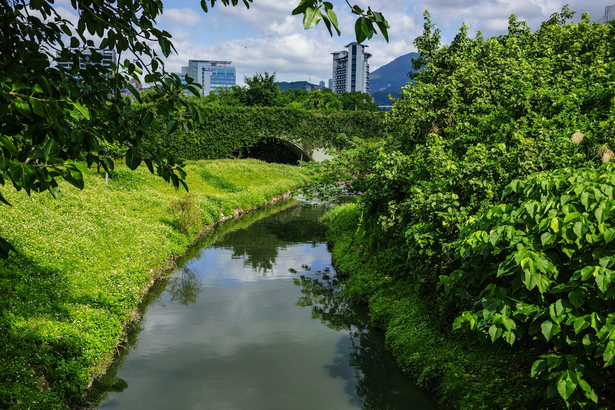 關渡自然公園