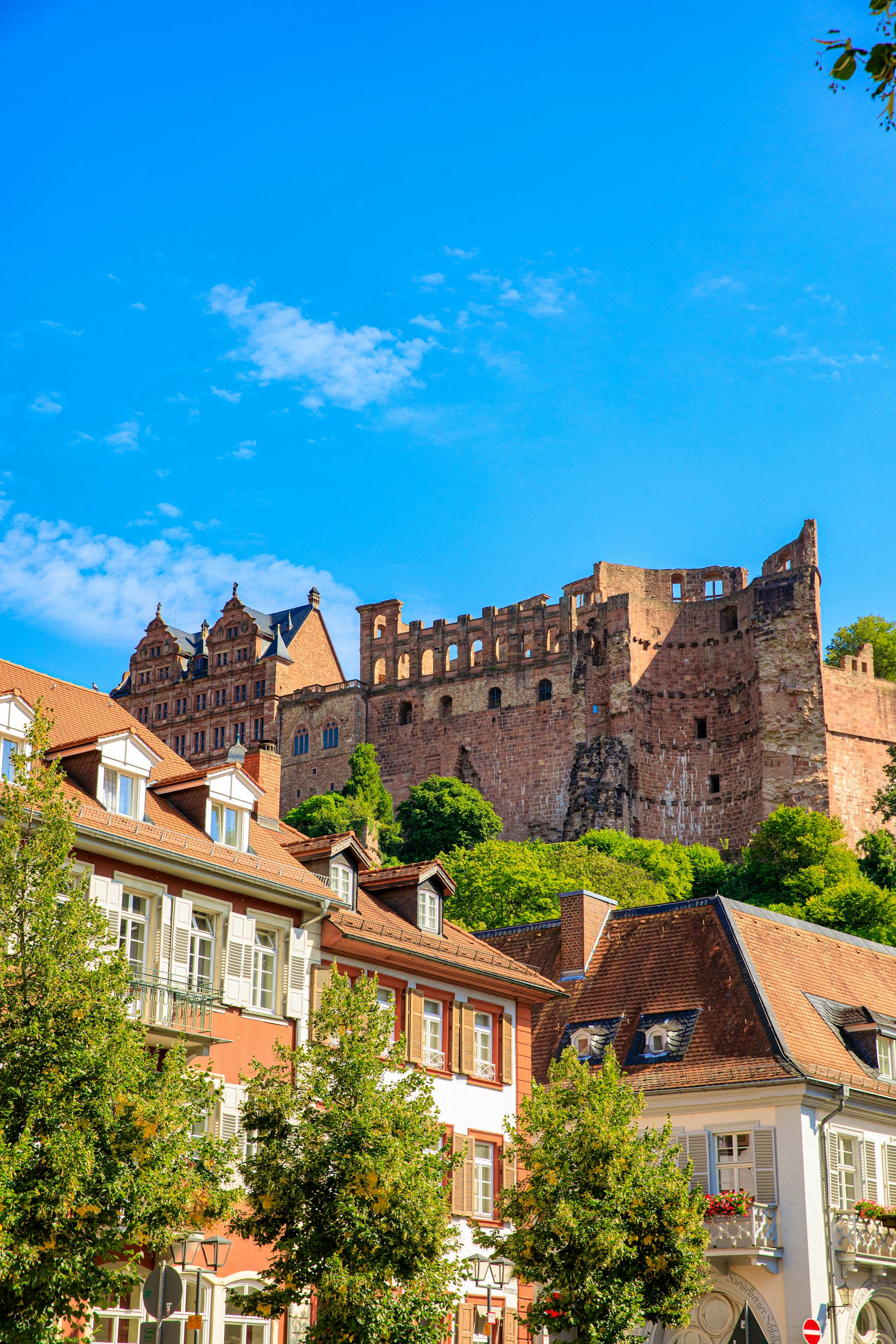 Frankfurt to Heidelberg and Schwetzingen: private day trip