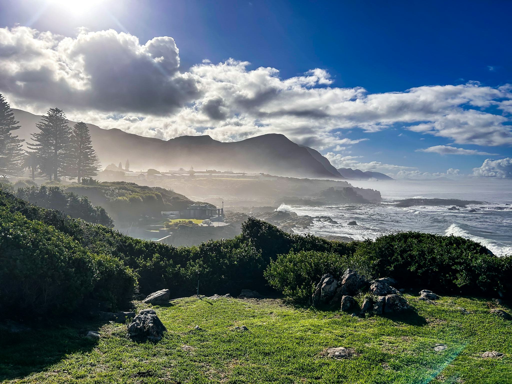 Hermanus