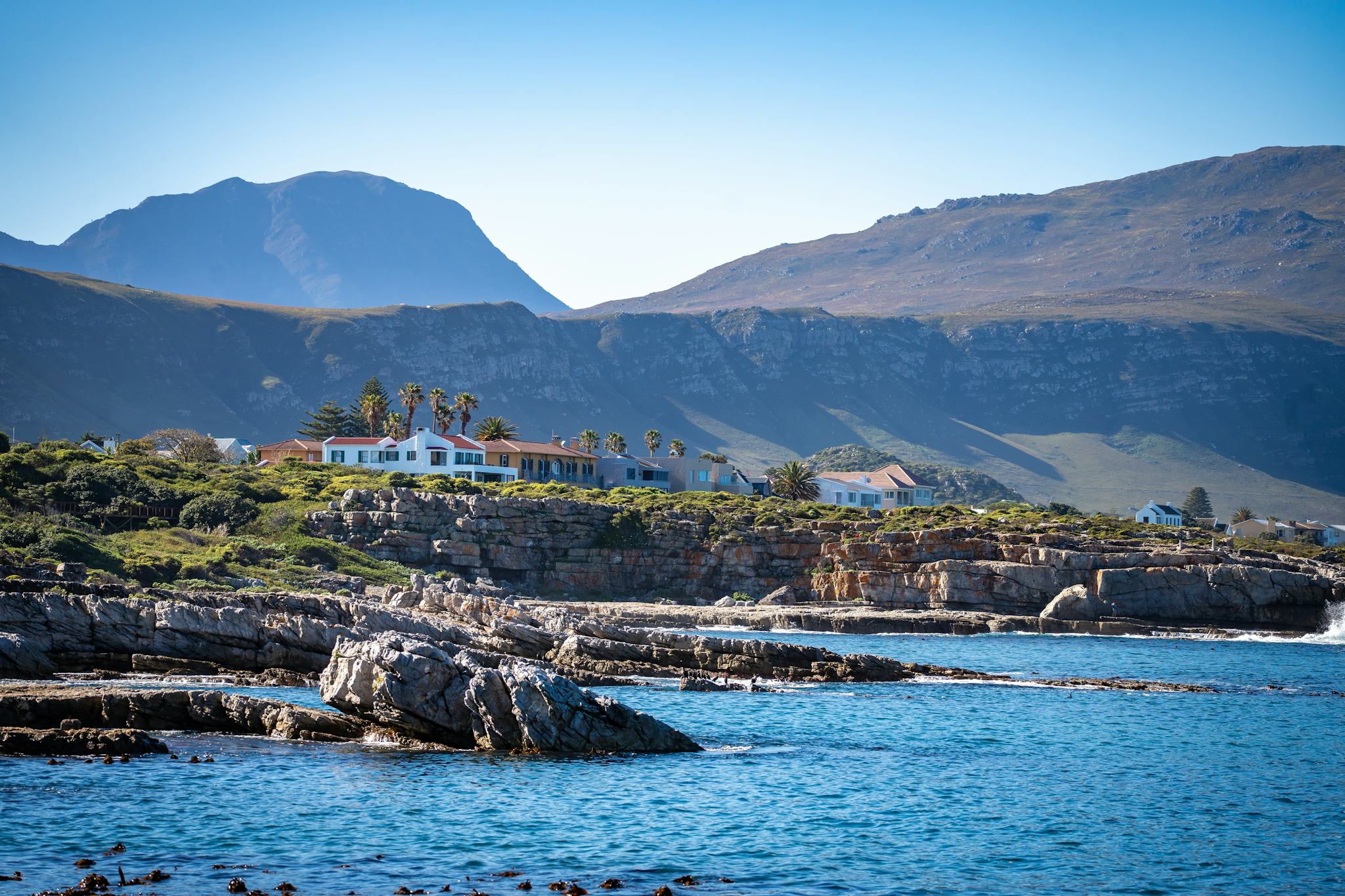 Hermanus