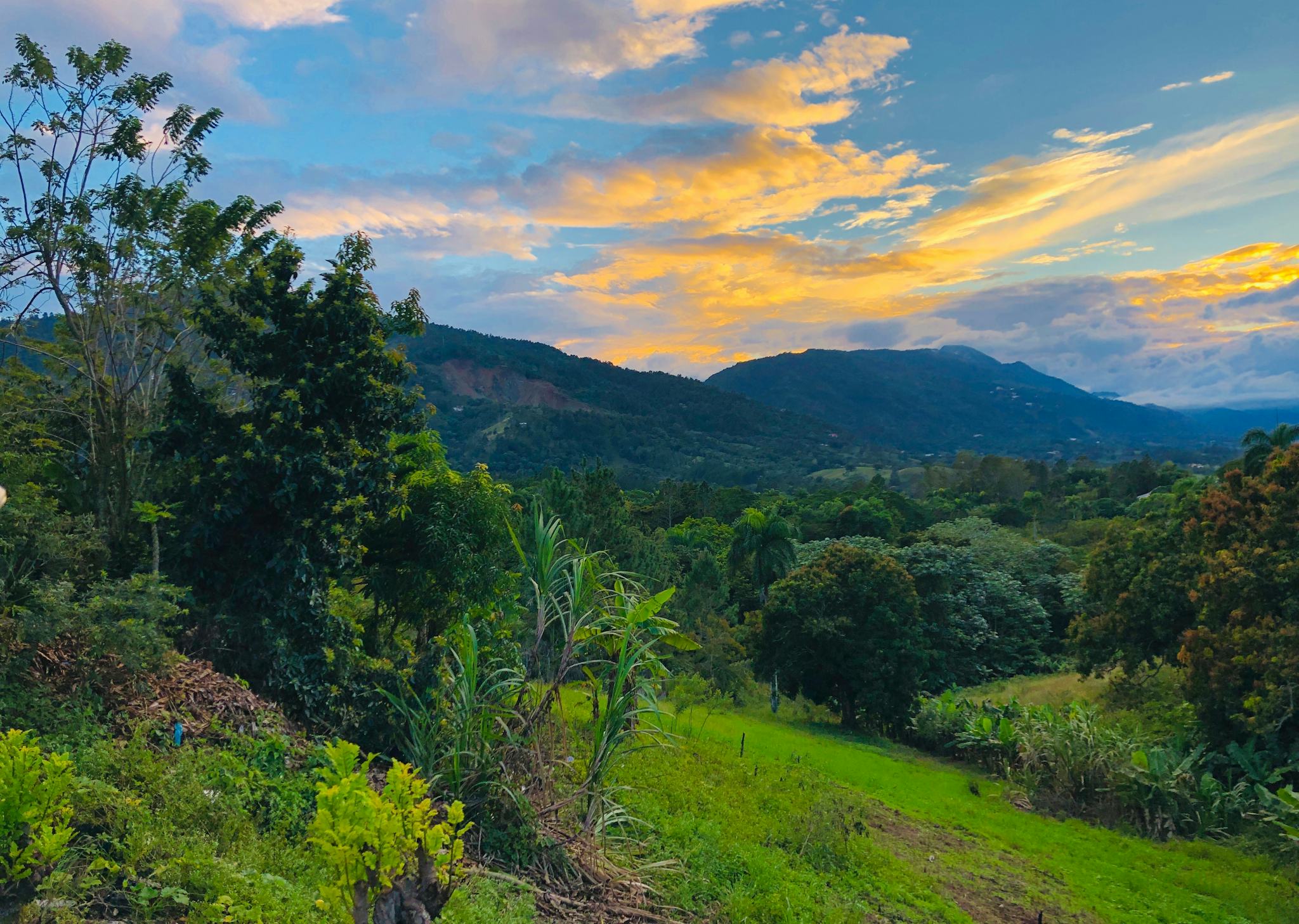 Jarabacoa