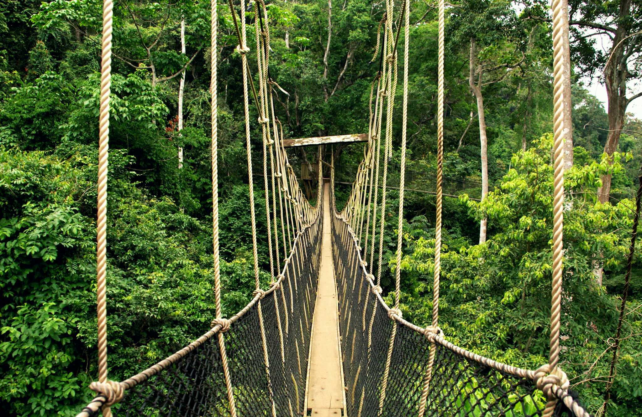 Parc National de Kakum