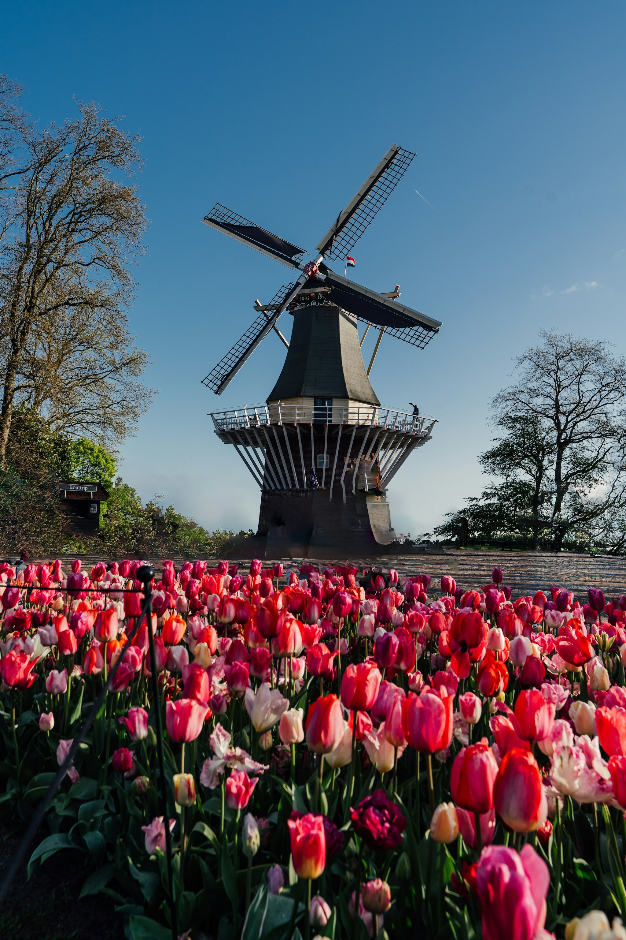 Keukenhof