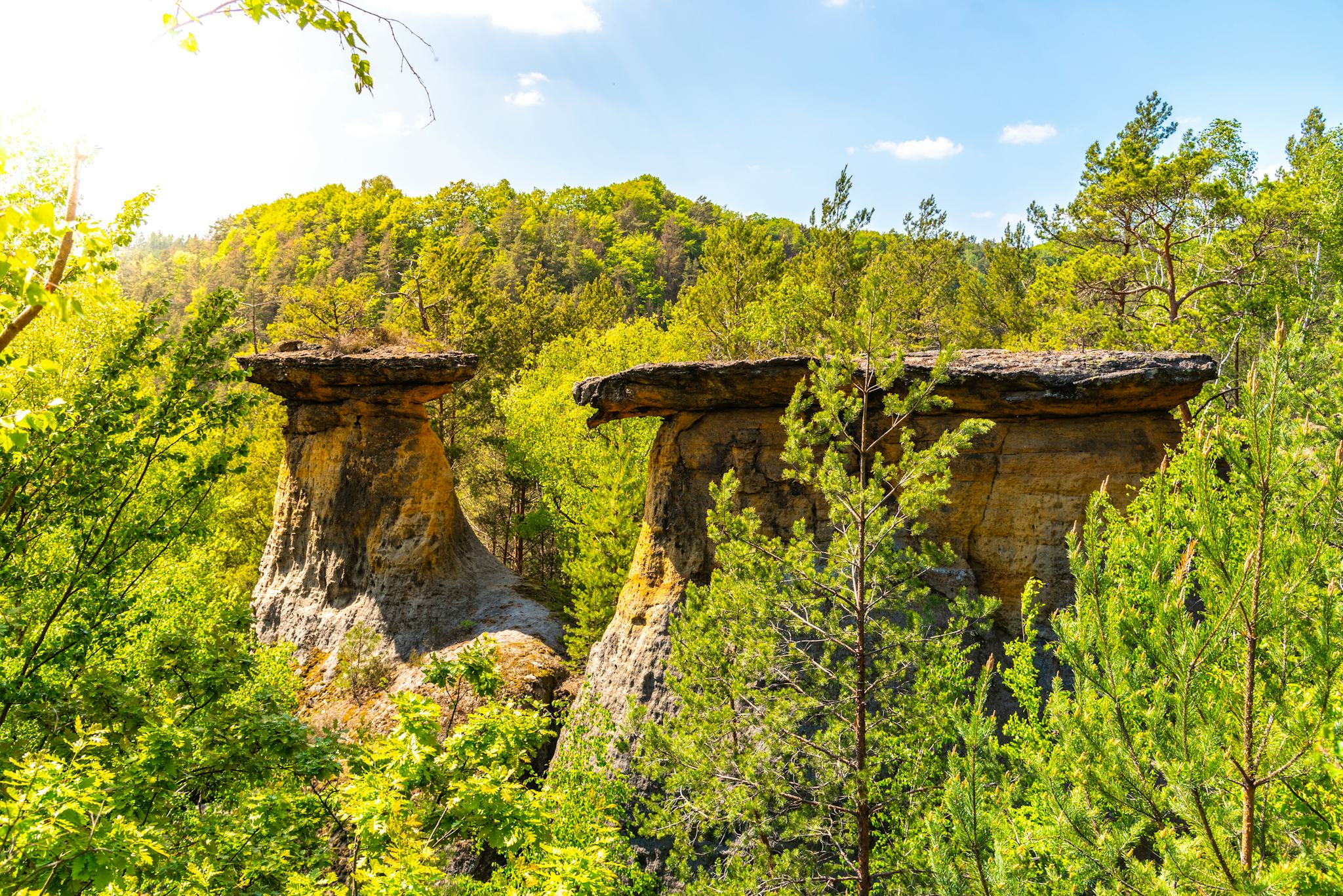 Prague to Kokorinsko: Private day trip