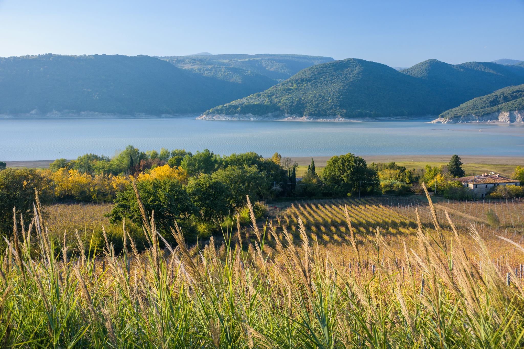 Lago di Corbara