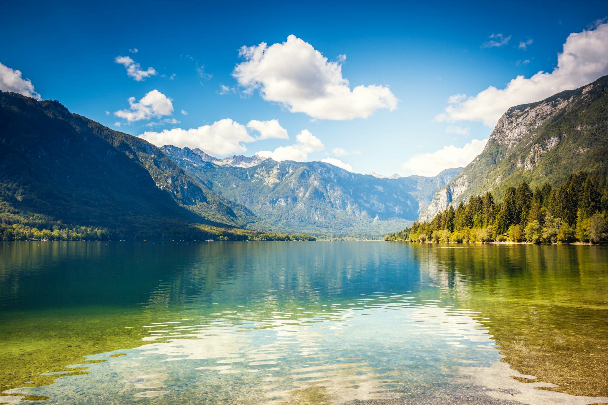 Lake Bohinj