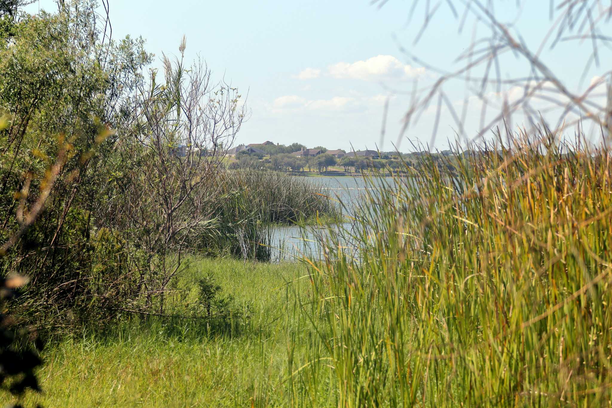 Lake Corpus Christi State Park