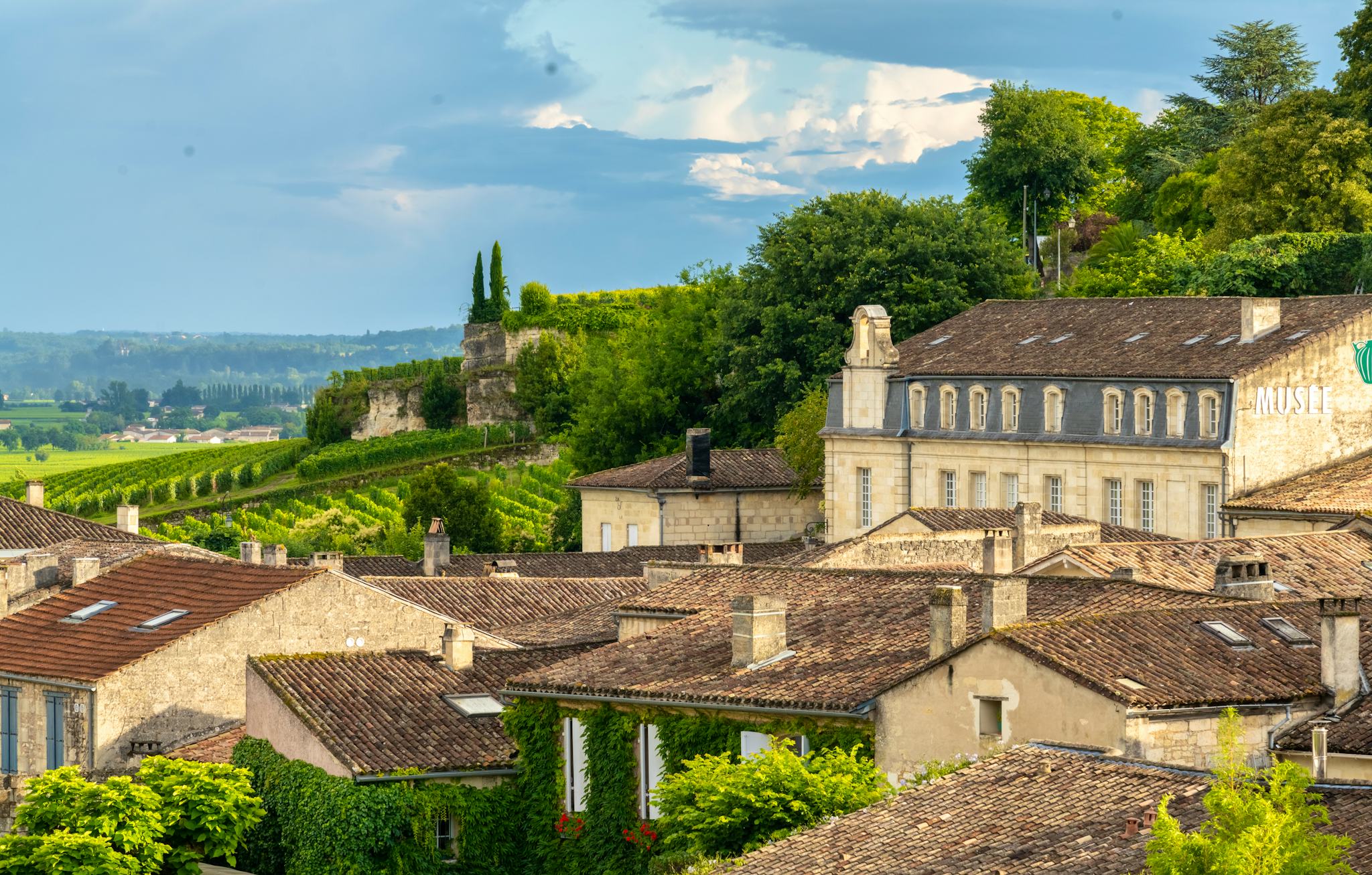 Bordeaux to Libourne and Fronsac: Private day trip
