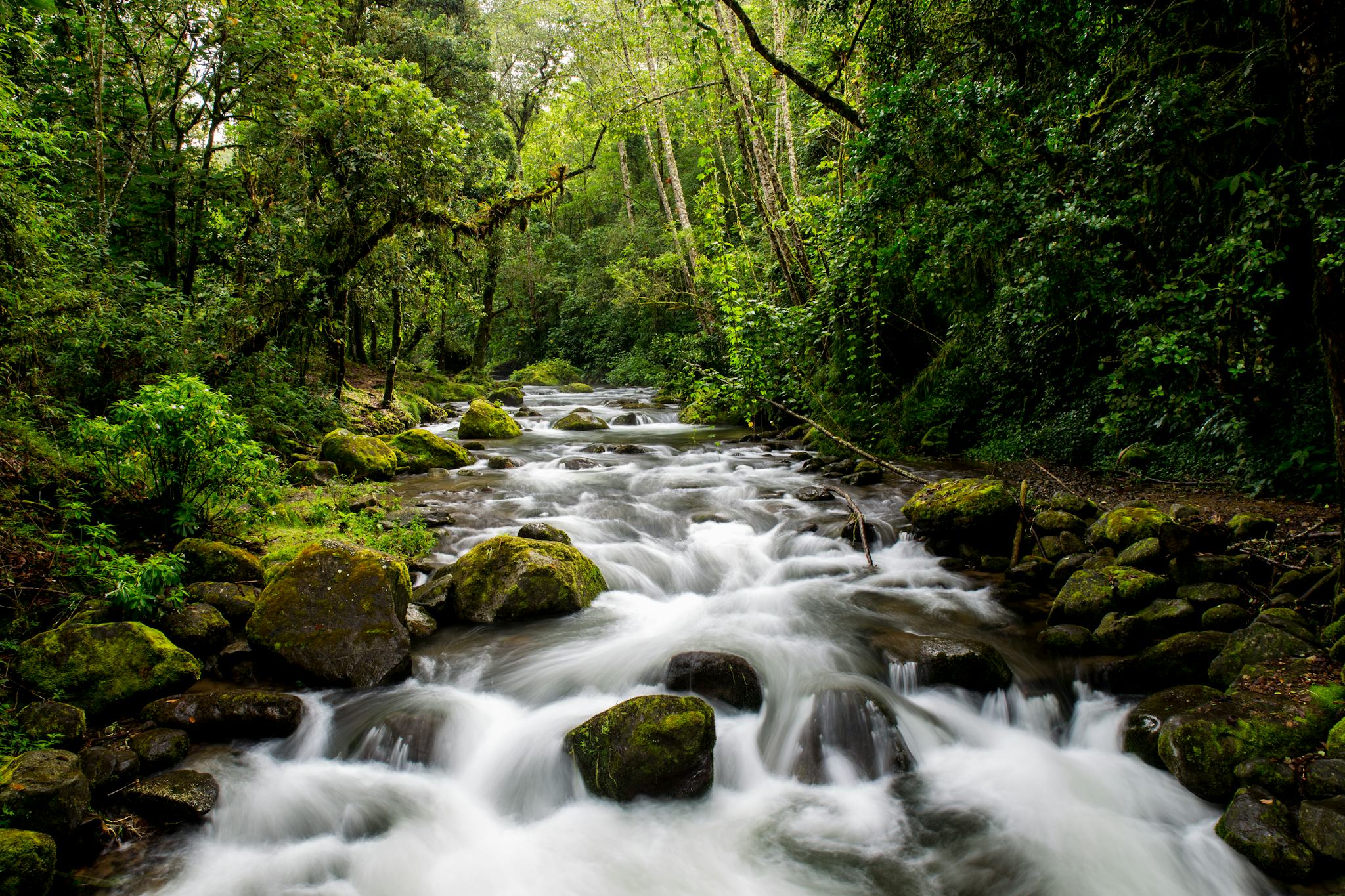 Los Chorros Waterfalls