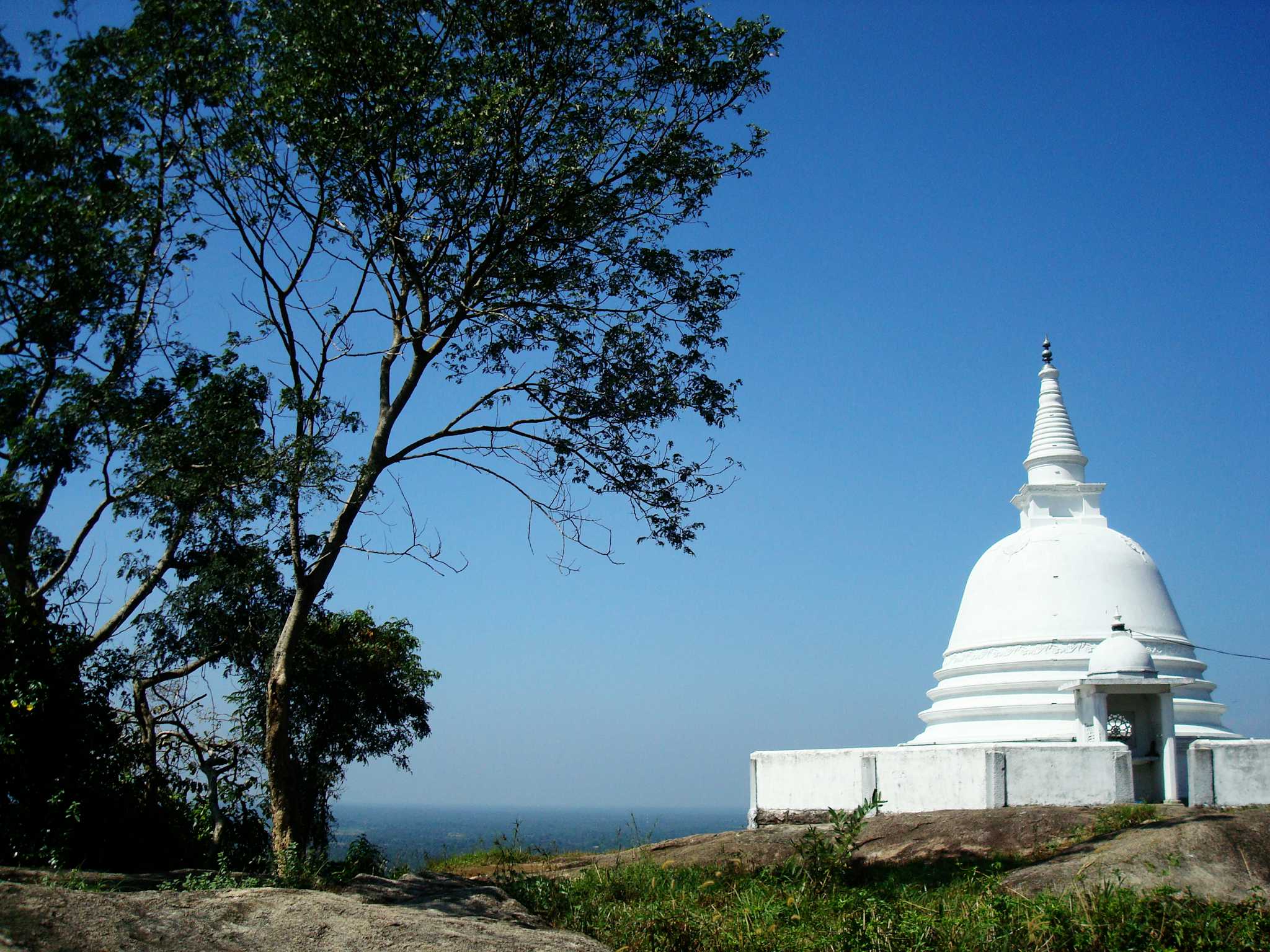 Maligathanna Raja Maha Viharaya