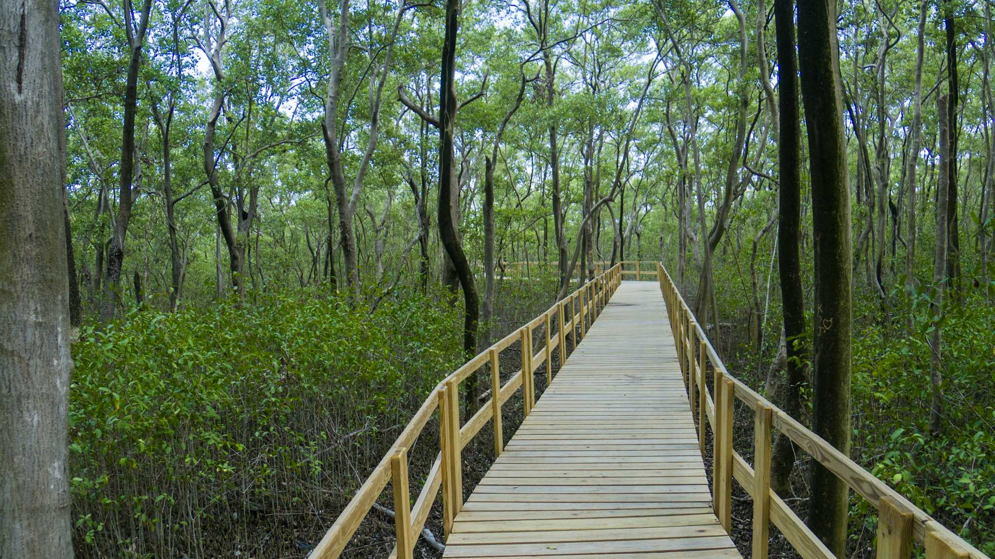 Manglares de Old Point National Park