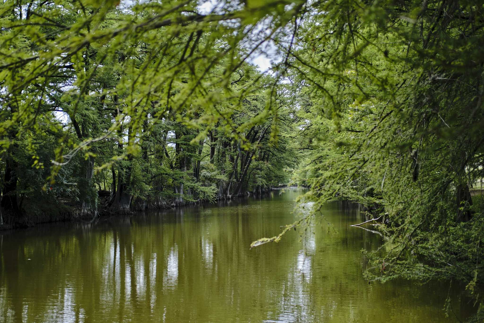 Medina River Natural Area