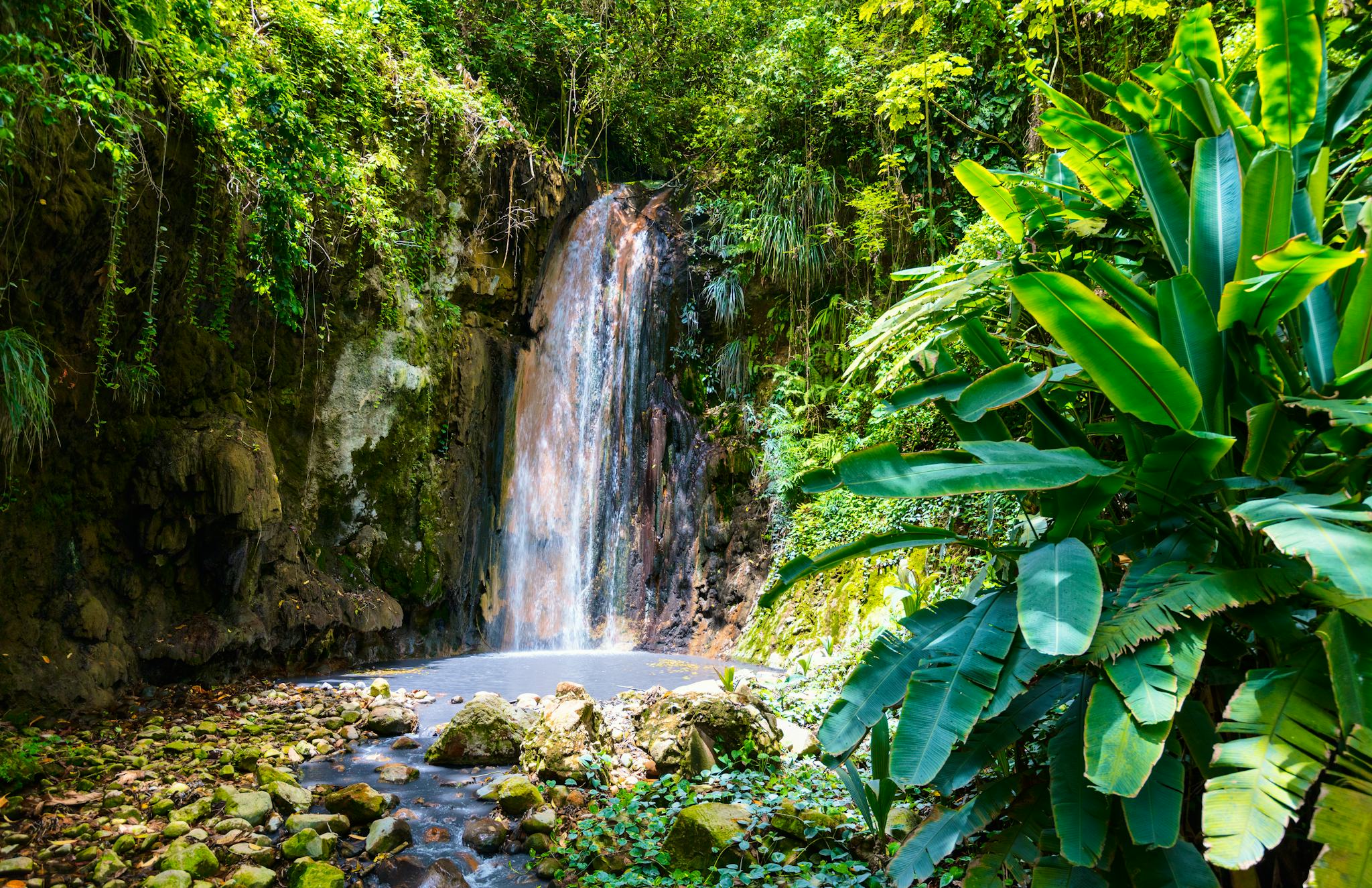 Migny, St. Lucia