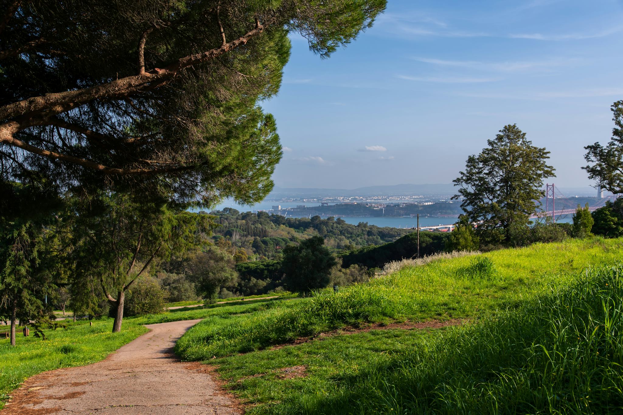 Monsanto Forest Park