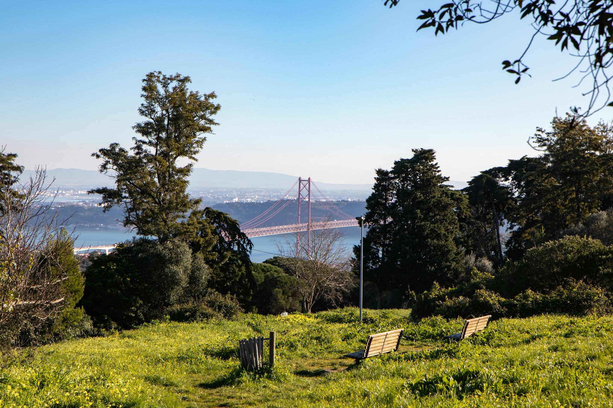 Monsanto Forest Park
