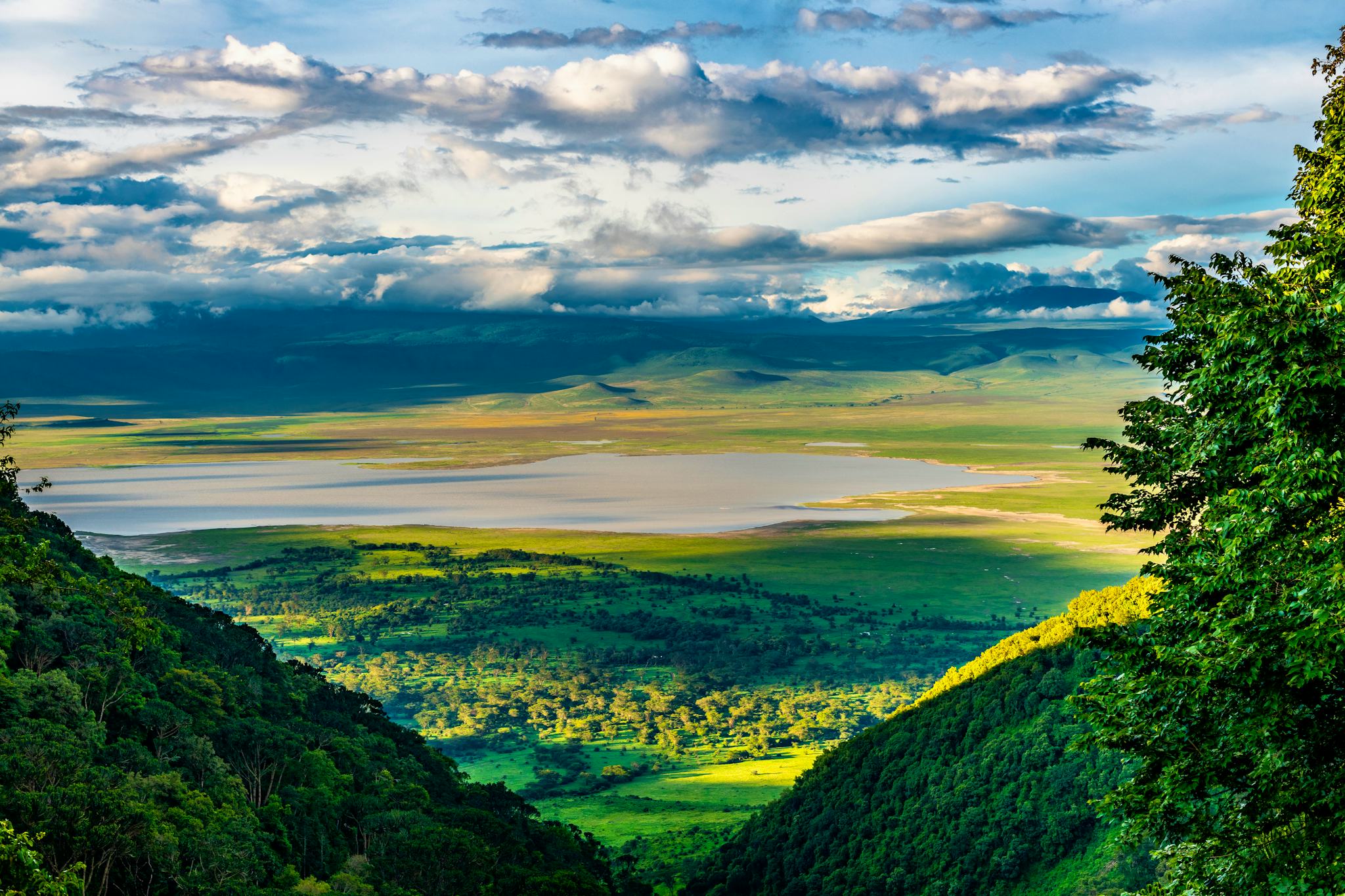 Ngorongoro