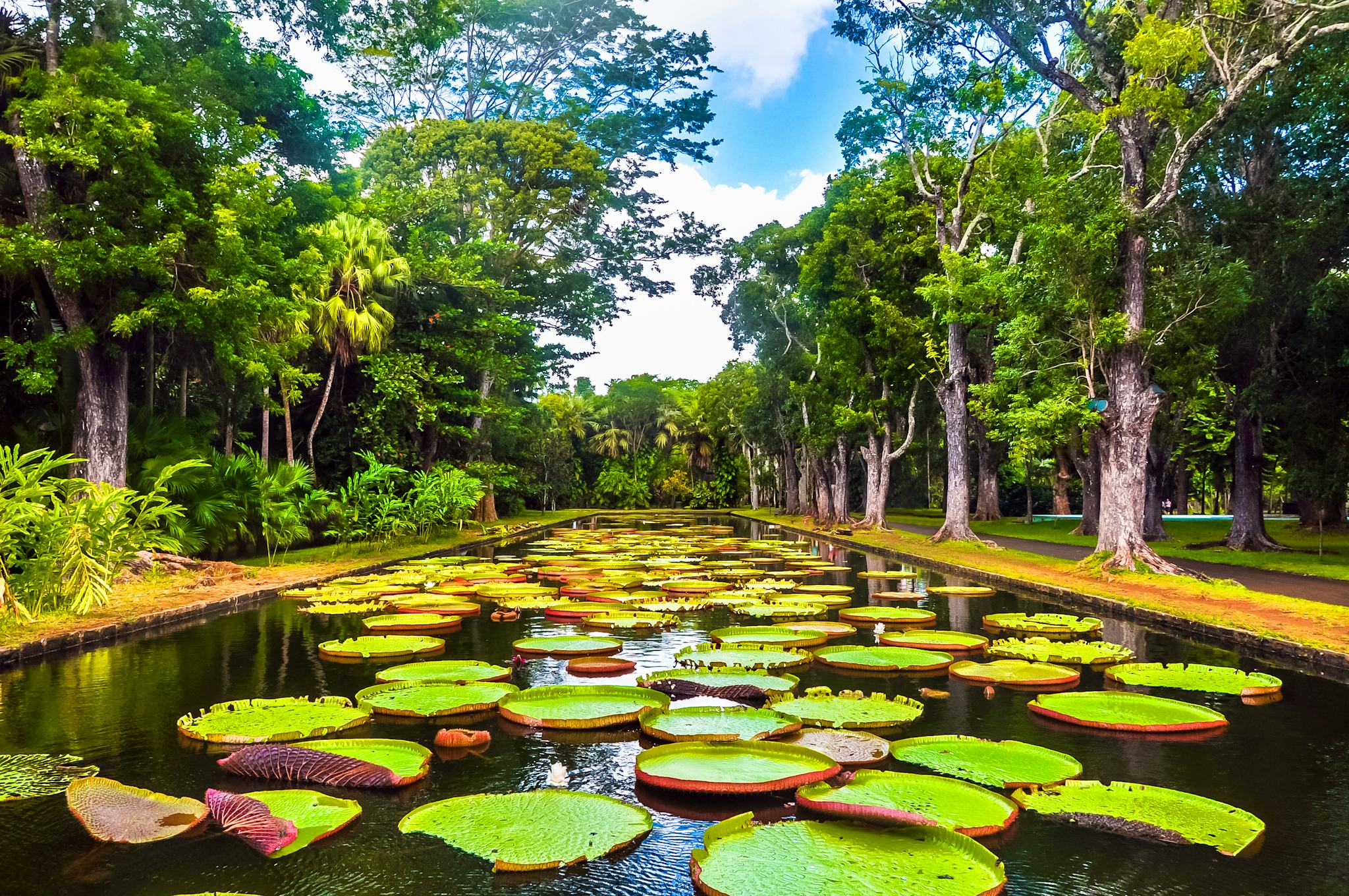 Jardín Botánico de Pamplemousses