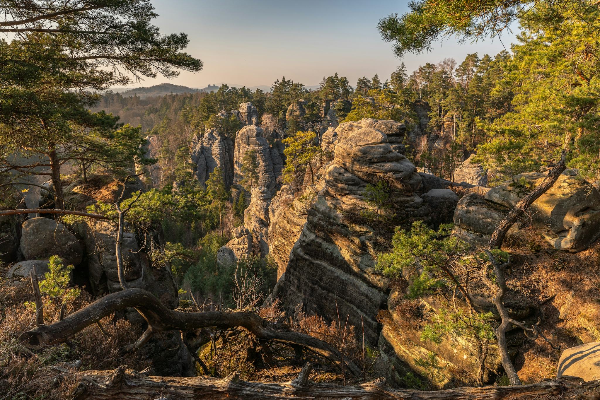 Prachov Rocks