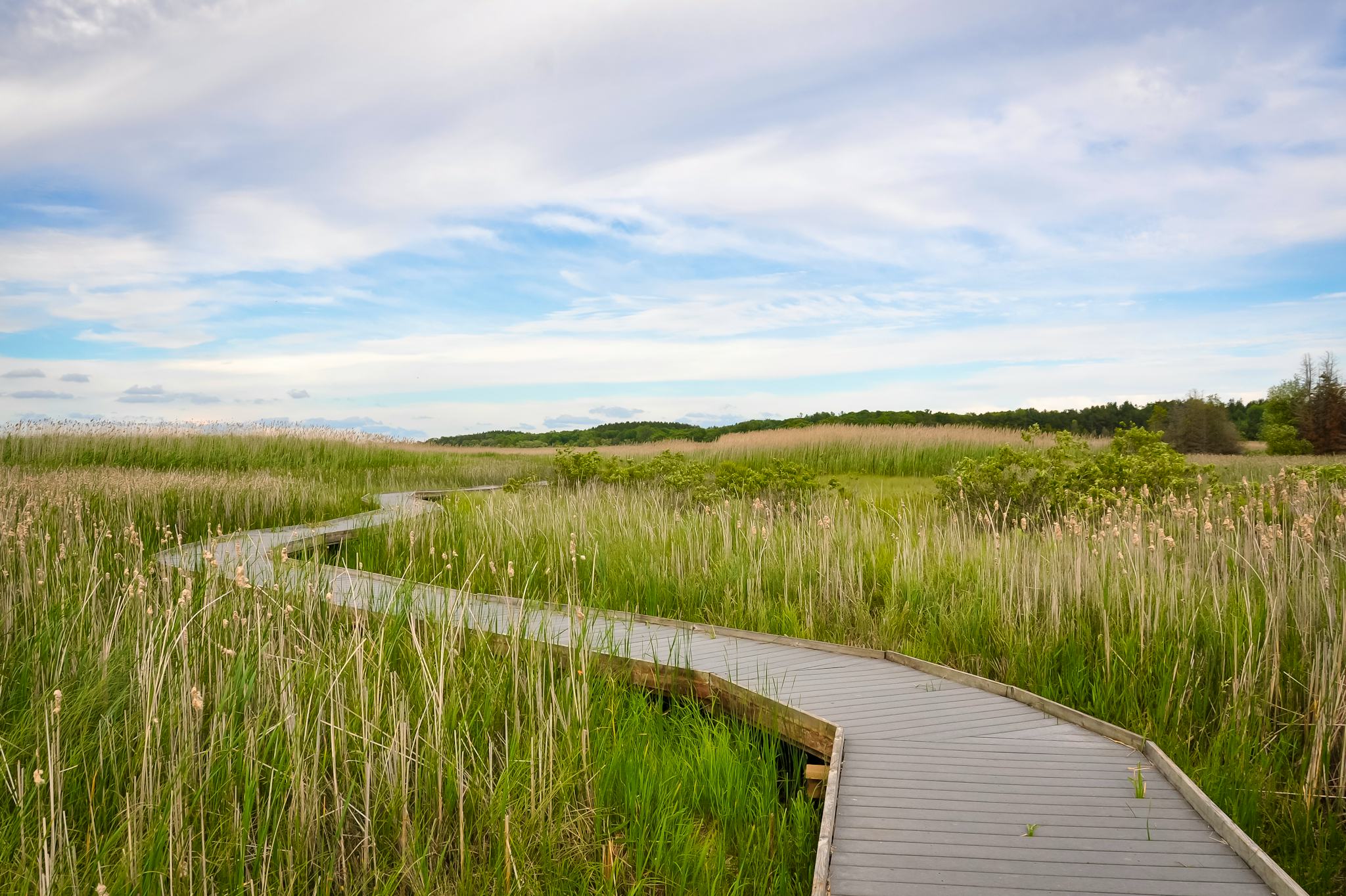 Parque Provincial Presqu'ile