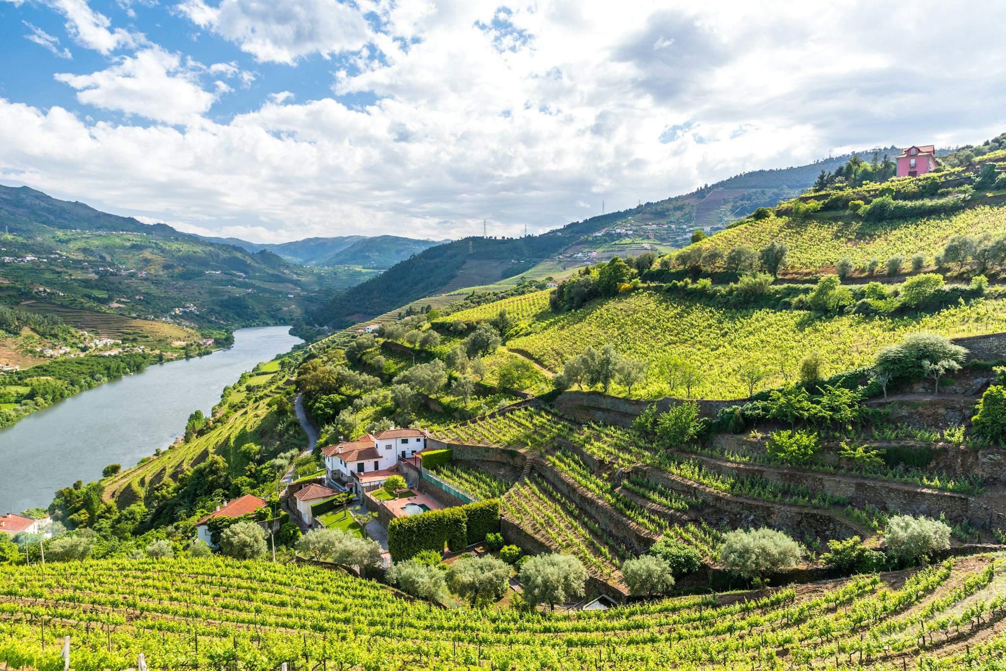 Quinta Dos Espinheiros