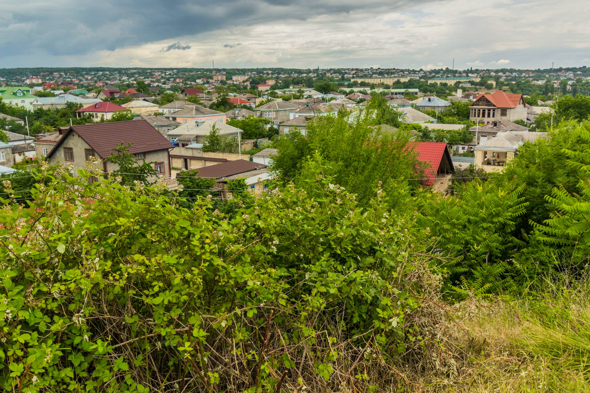 Qusar