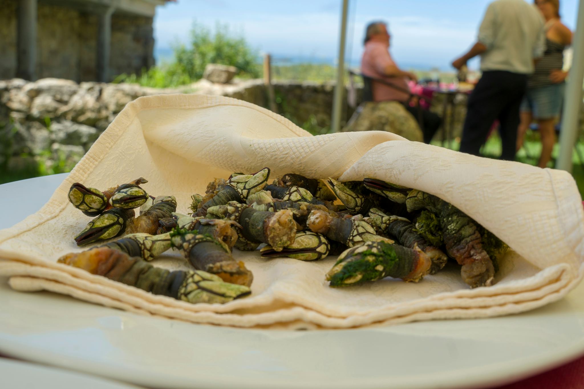 Sagres