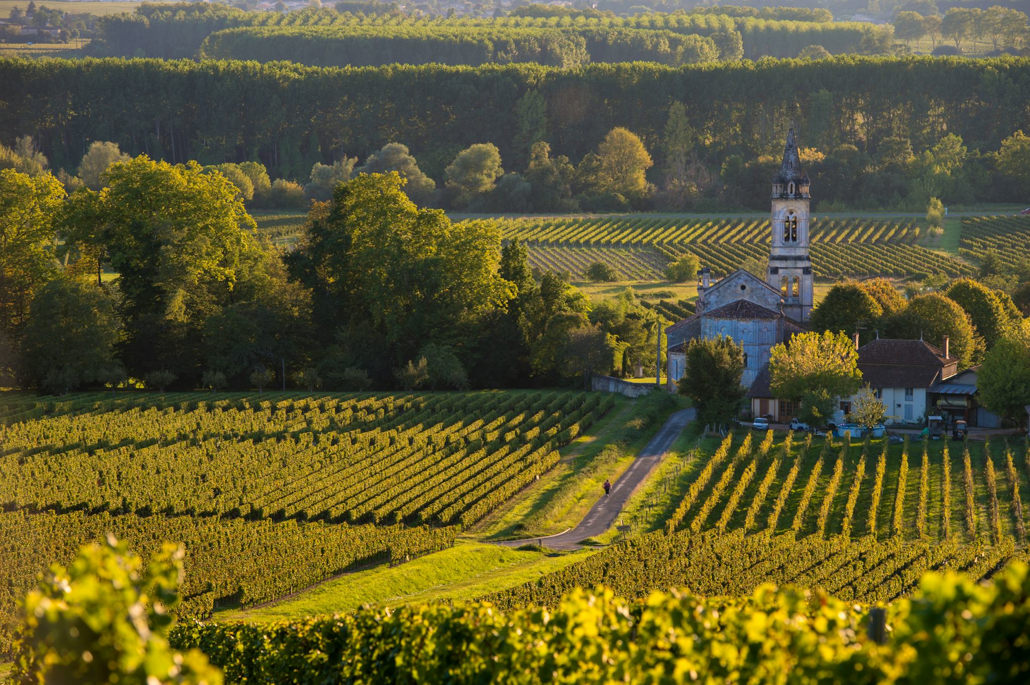 Bordeaux to Sauternes and Barsac: Private day trip