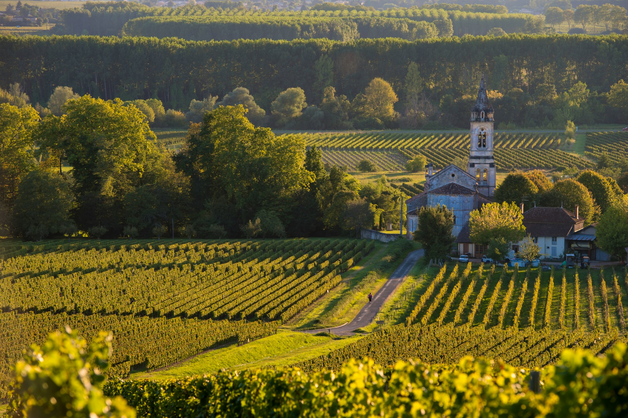 Bordeaux to Sauternes and Barsac: Private day trip