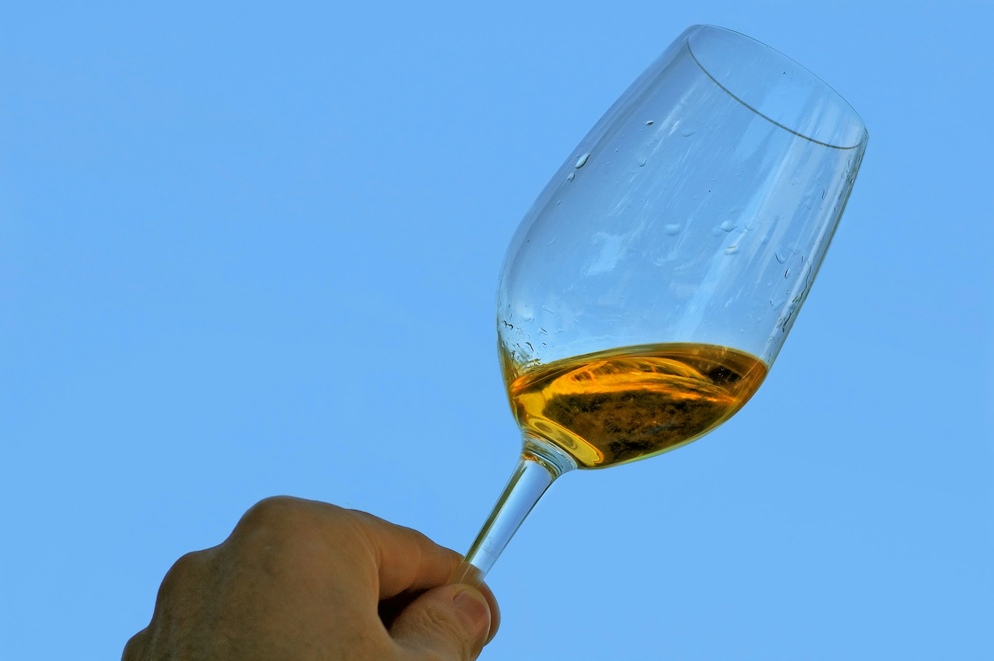 Sauternes